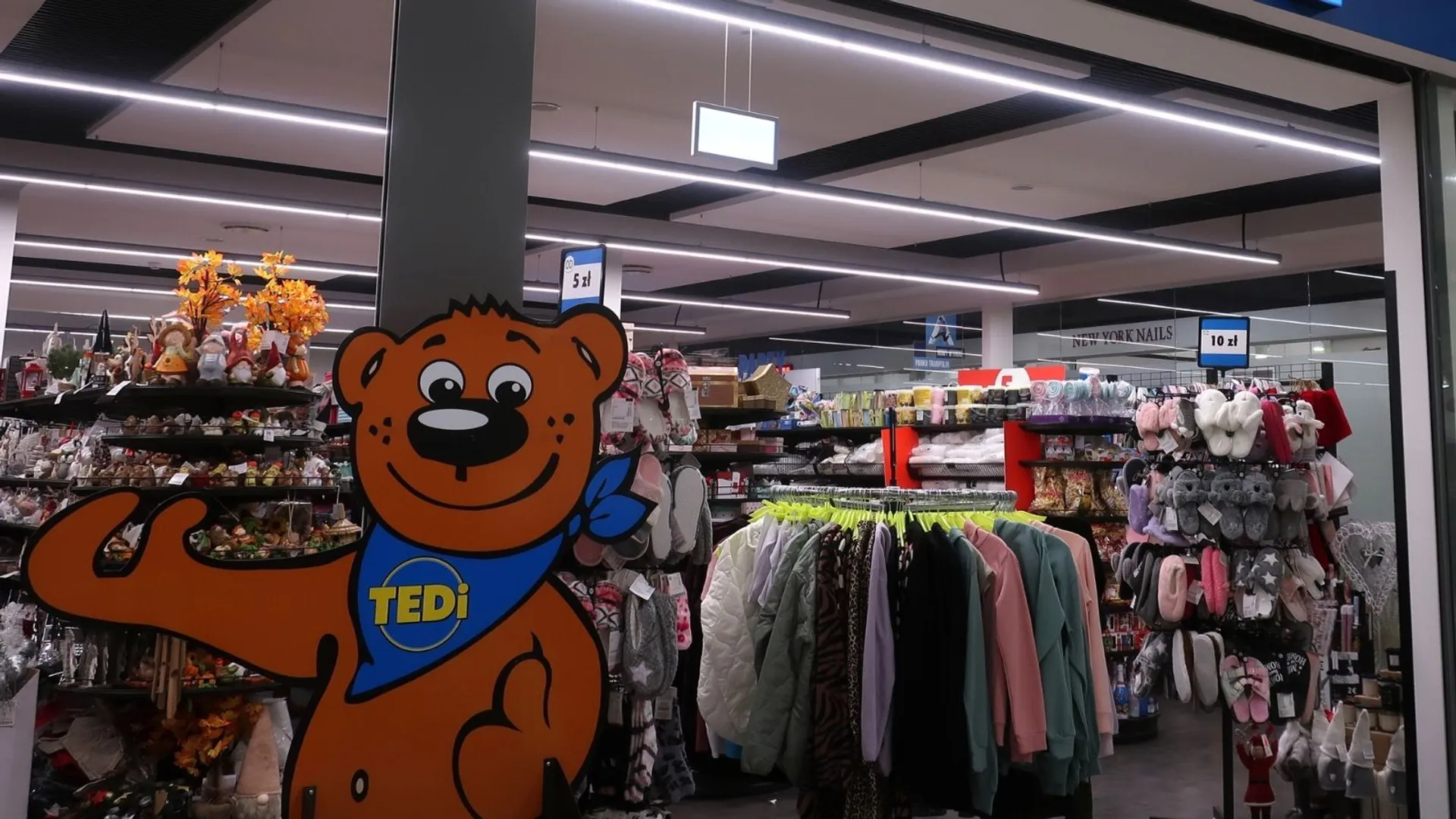 Tedi