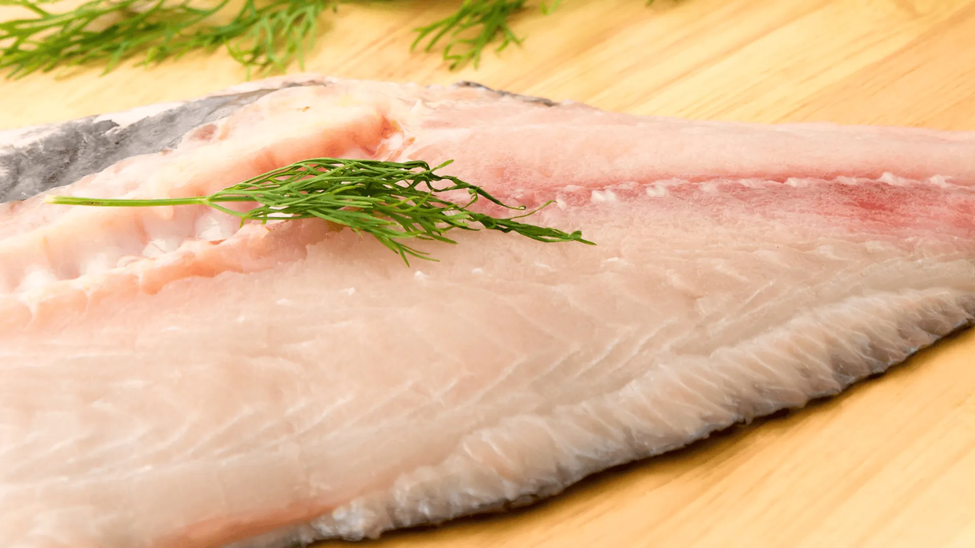 Tilapia