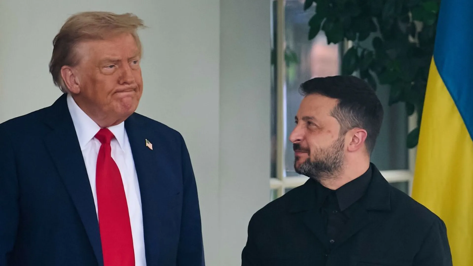 Donald Trump, Wołodymyr Zełenski