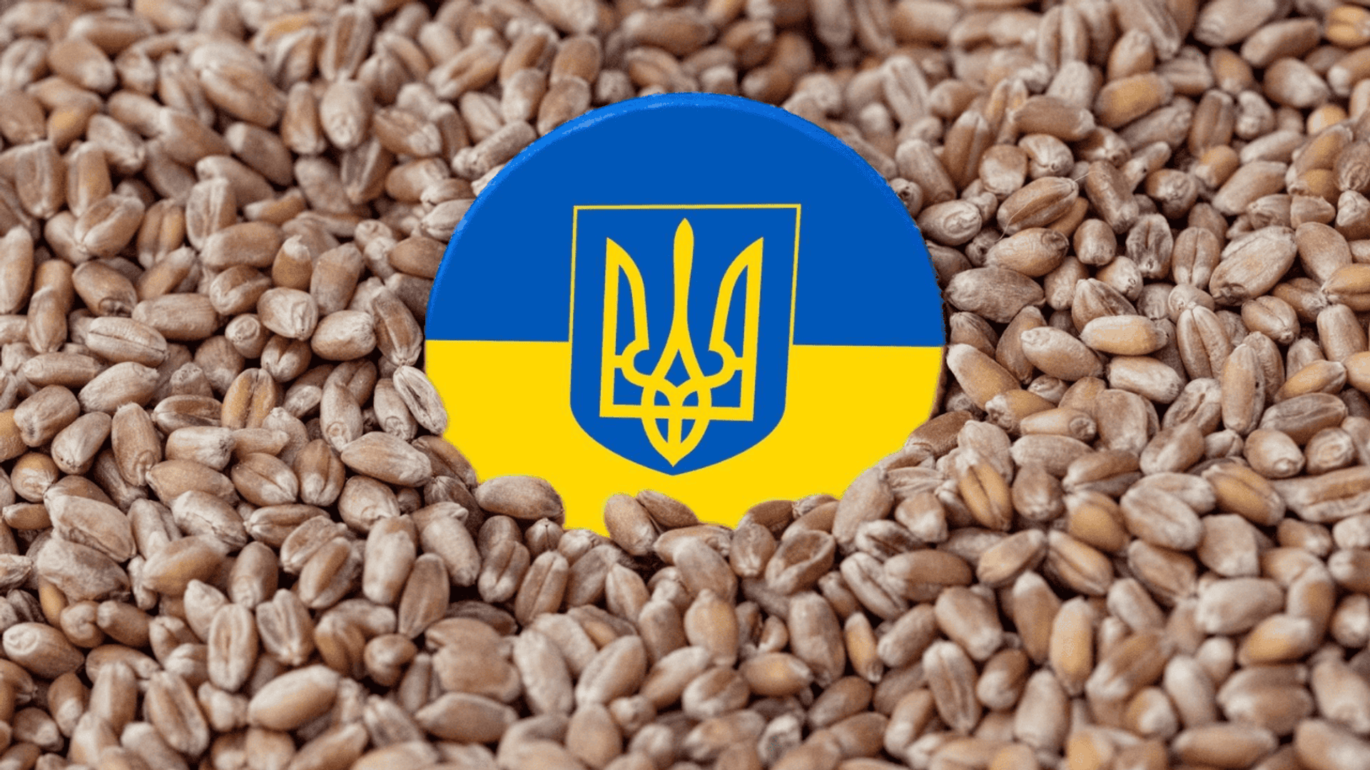Ukraina