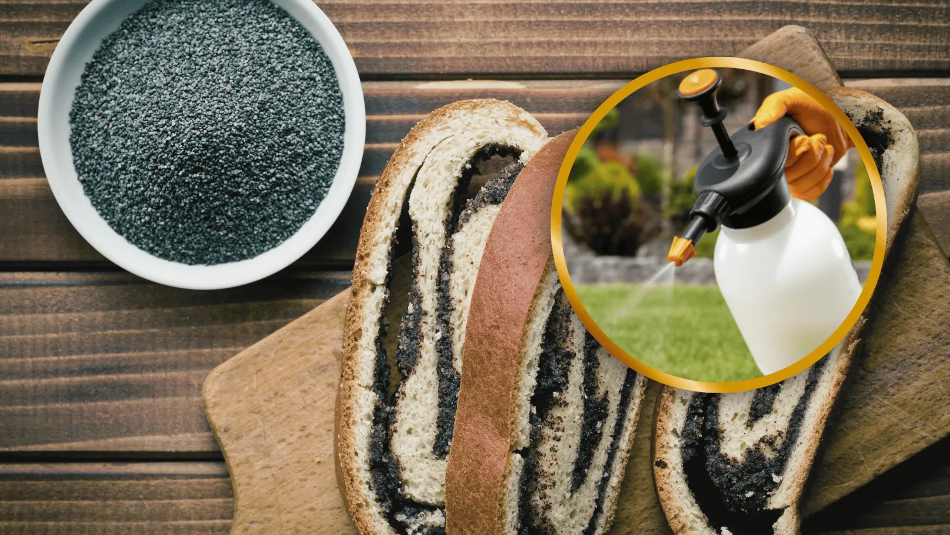 Mak nie taki zdrowy? Pestycydy w popularnych masach – co mówią eksperci