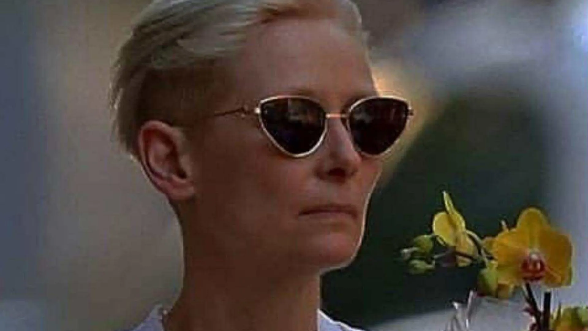 Winda Swinton