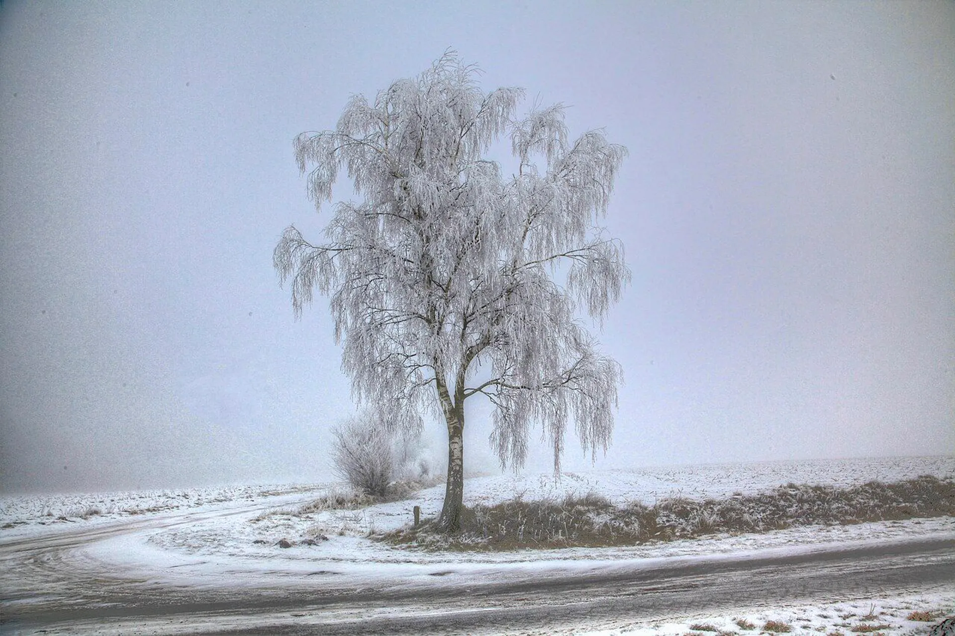 Silny atak zimy w Polsce. Nadciąga fala mrozów i śnieżyce