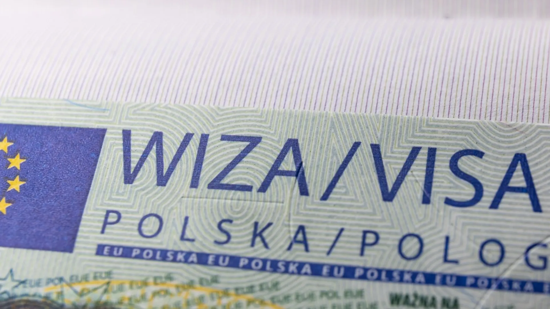 Wiza pracownicza