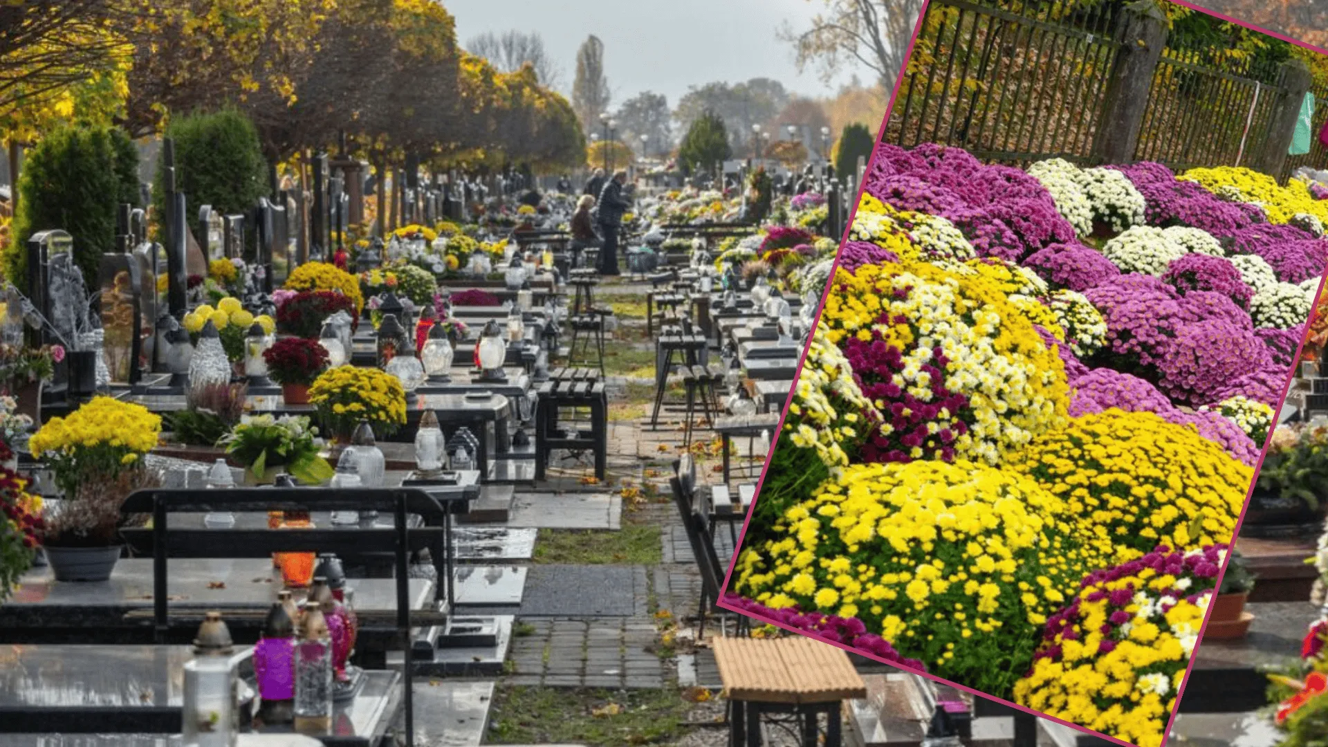 Wszystkich Świętych