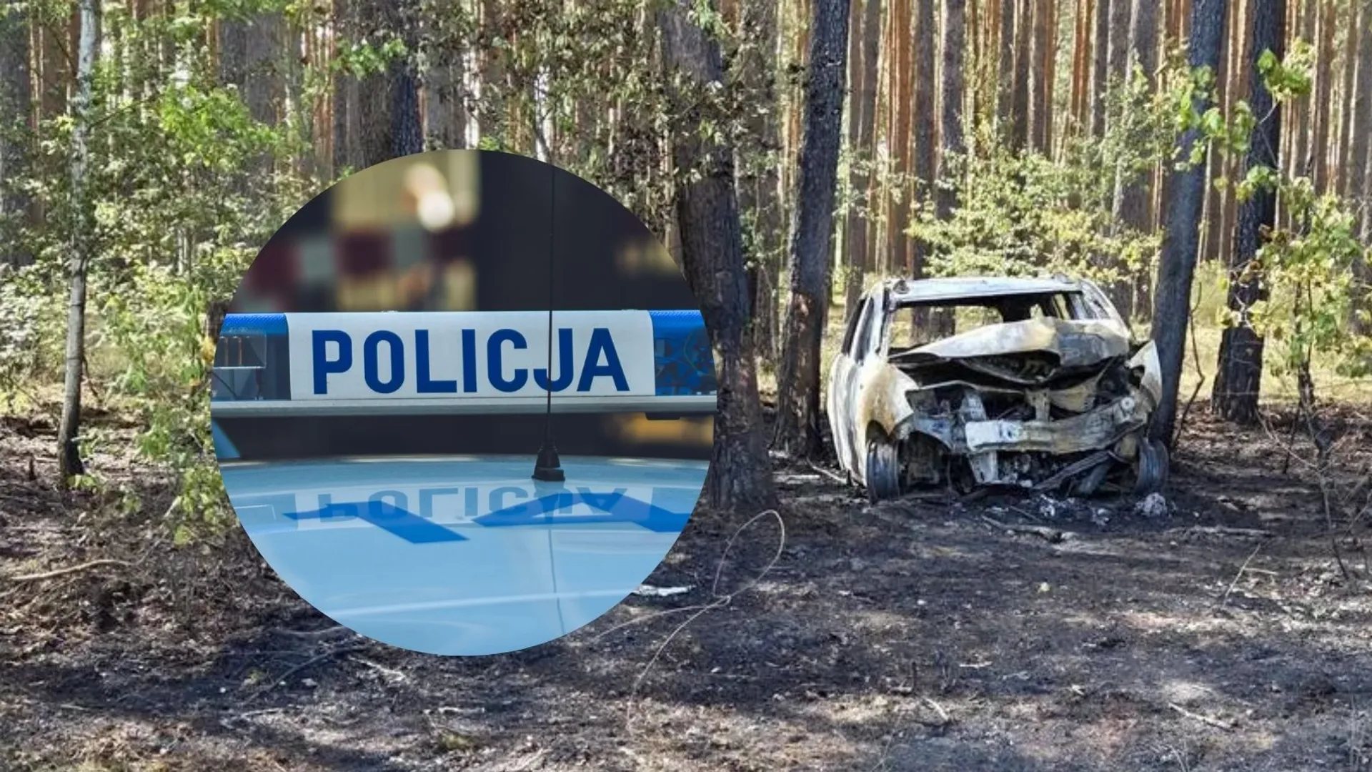 Wypadek, nie żyje, tragedia