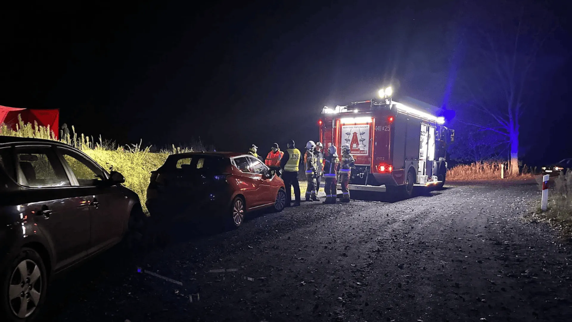 Rozgnie Wymieszaj Z Olejem I Wlej Do Kopca Kreta Od Razu Ucieknie Ze 