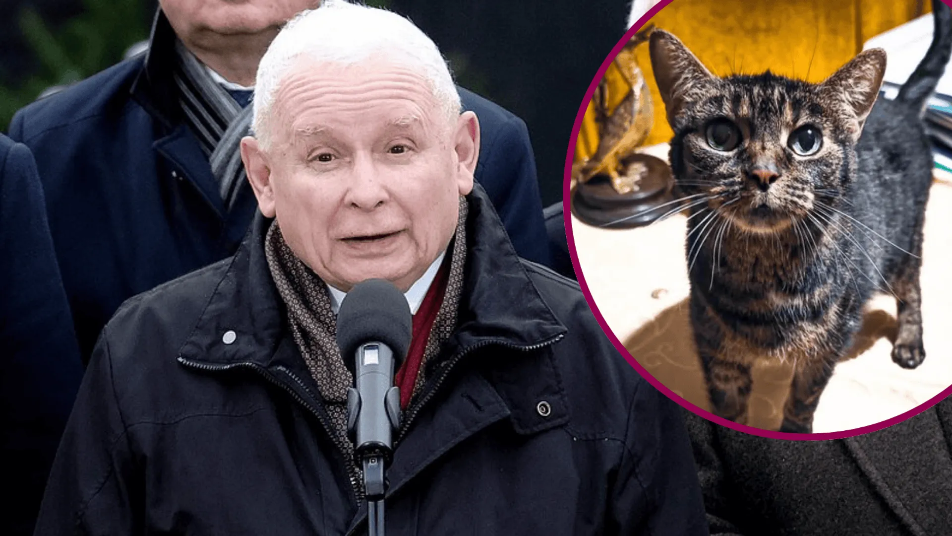 Jarosław Kaczyński i Kotka Fiona