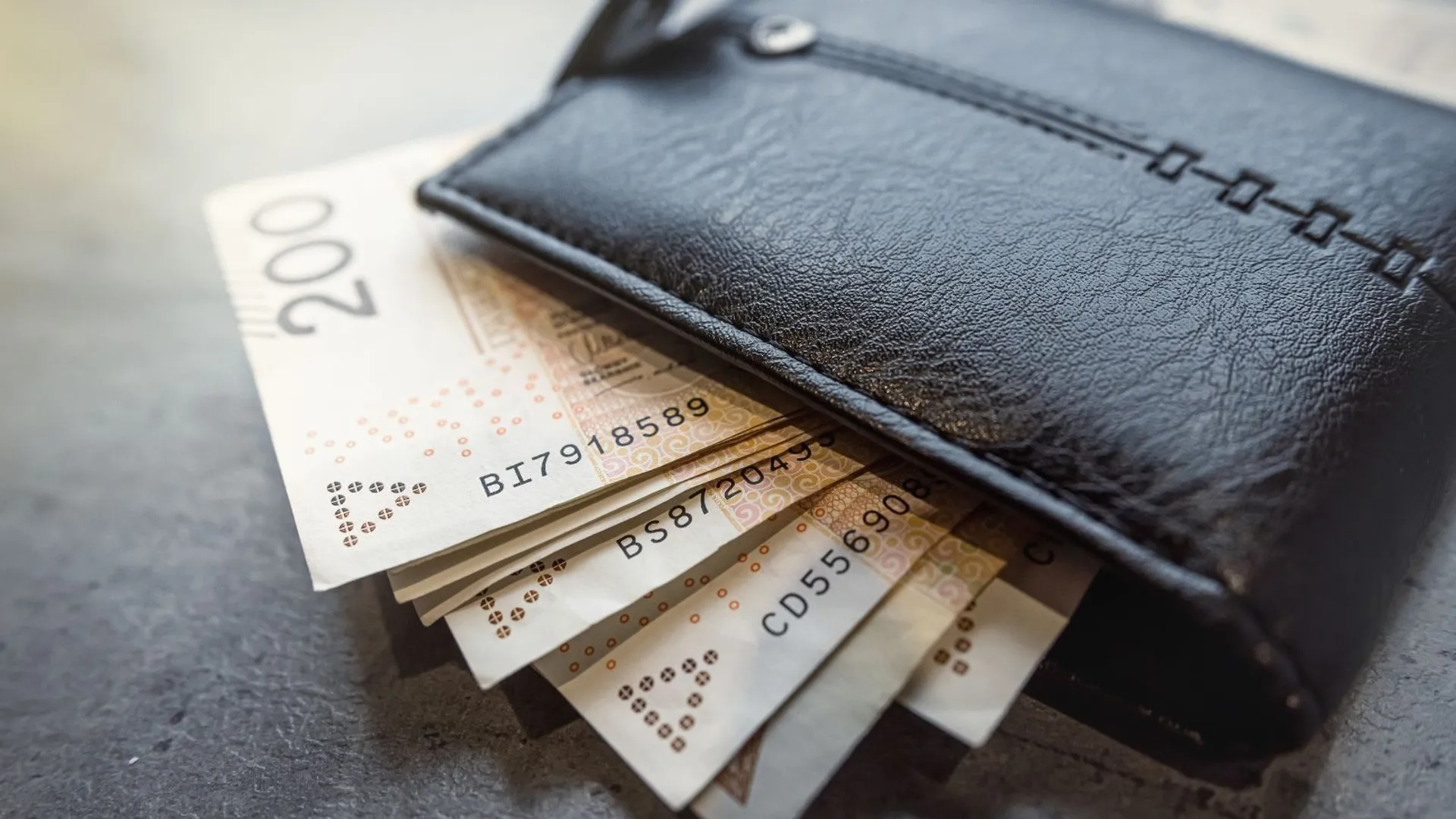 ZUS portfel pieniędzy