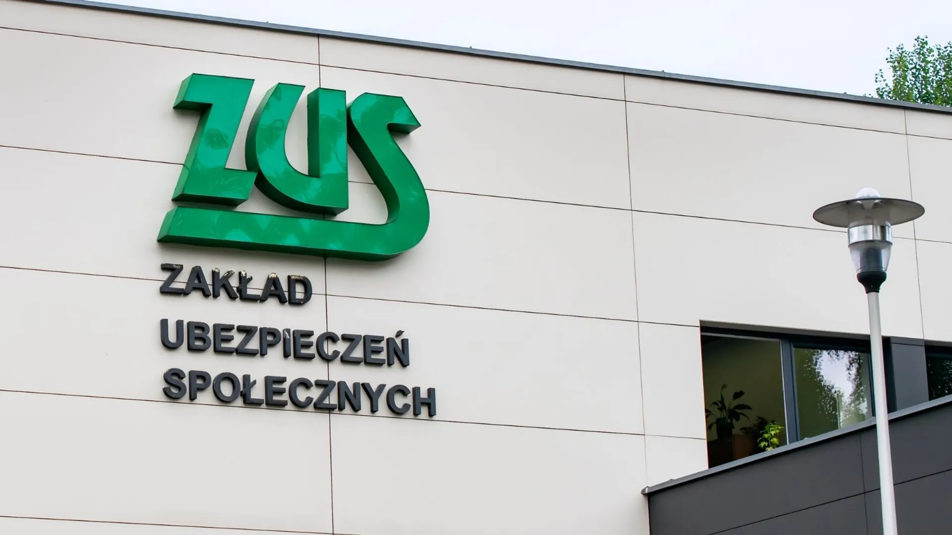 ZUS wnioski staż