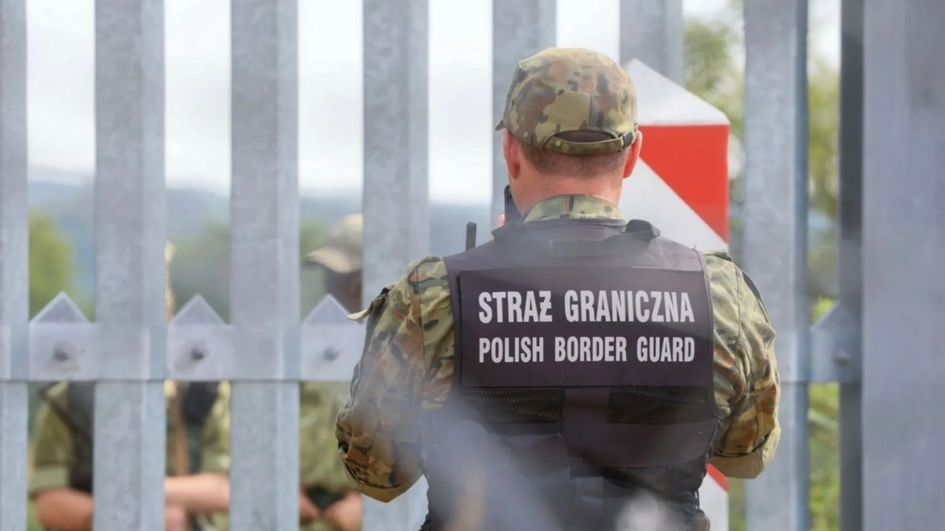 Straż Graniczna, zatrzymanie,. przestępstwo, granica, ciężarówka, kontrola