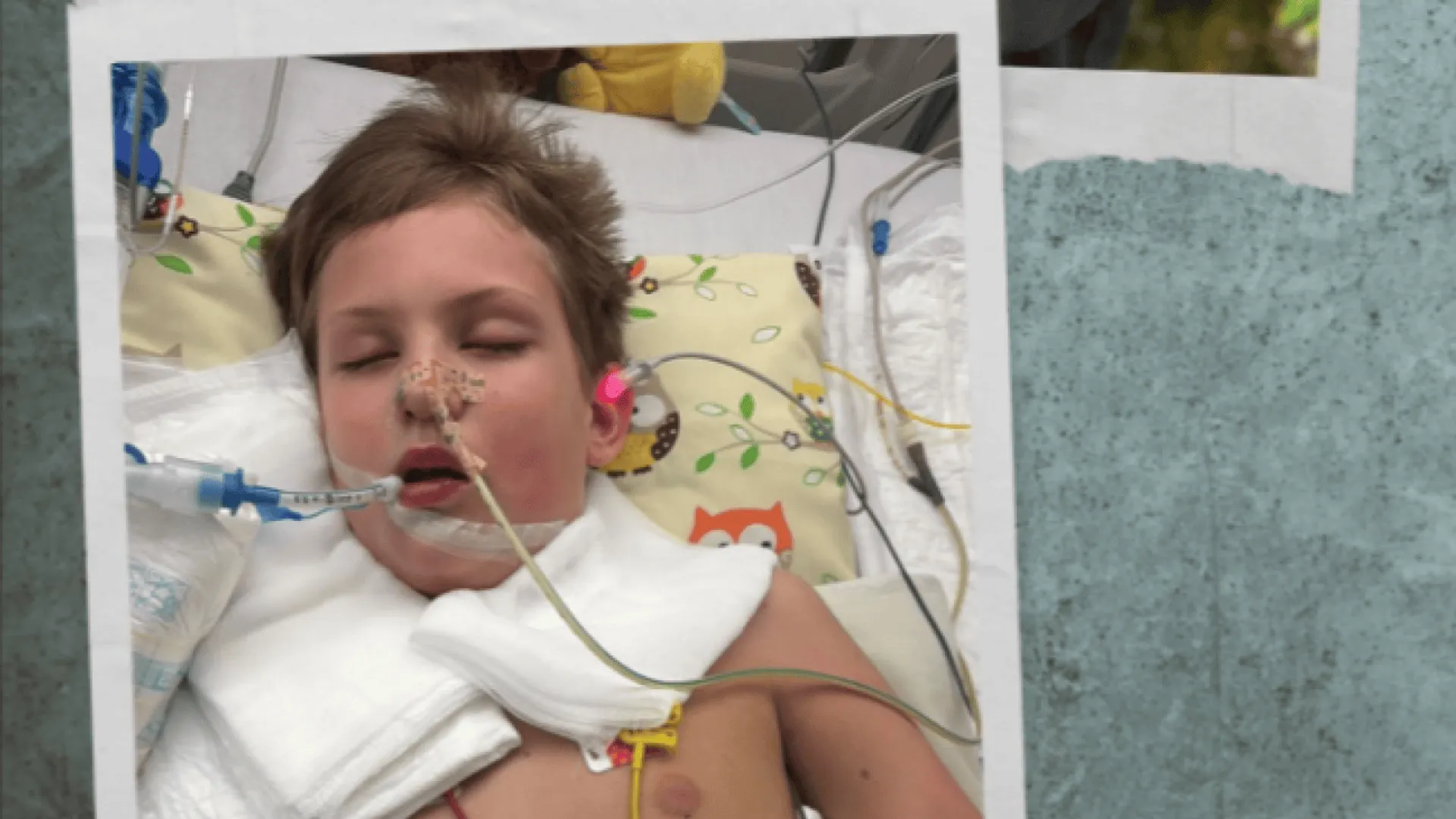 Zbiórka dla Dawida Sochackiego-Kęciaka,