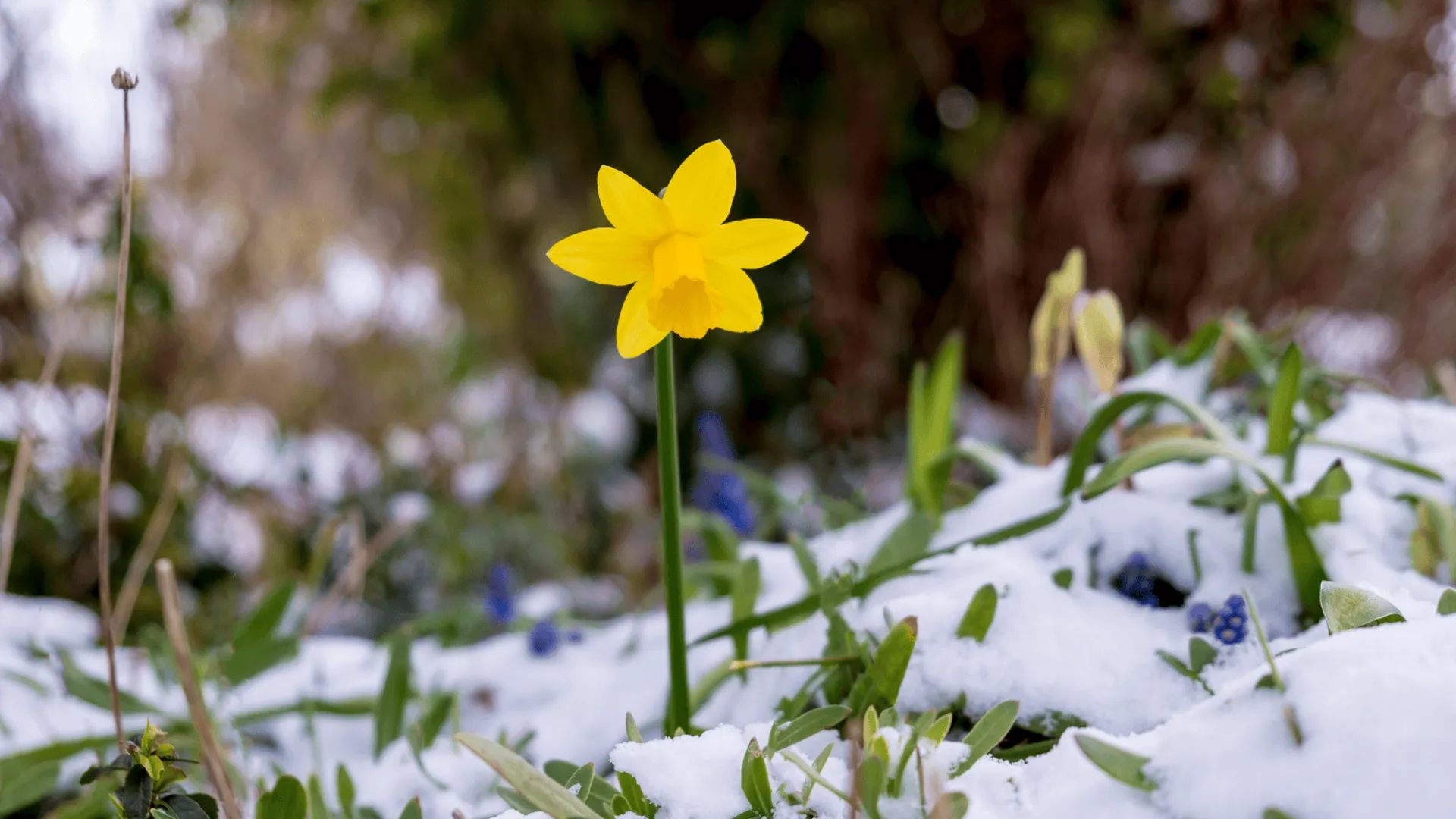 Gwałtowna zmiana pogody
