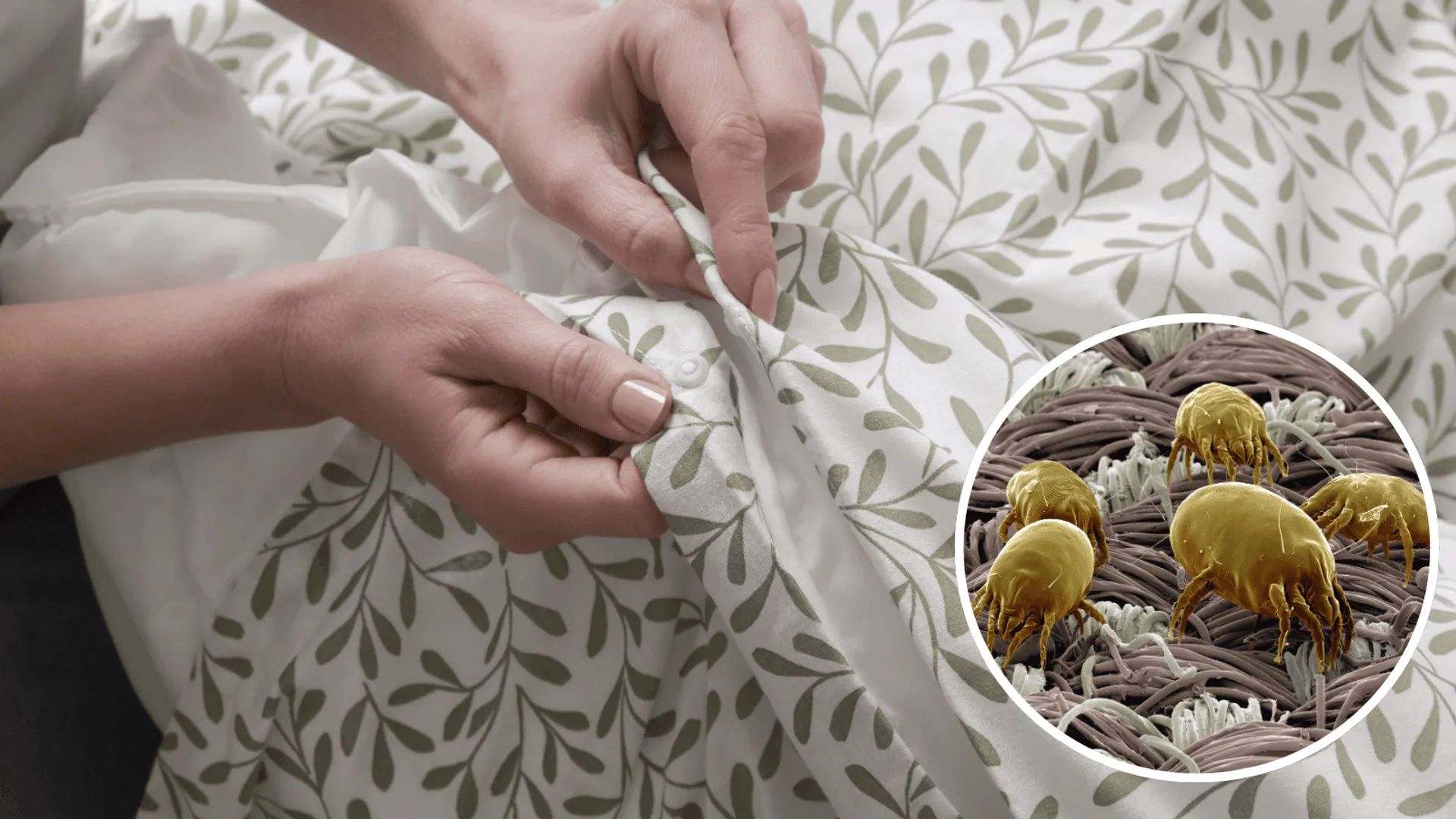 zmienianie pościeli