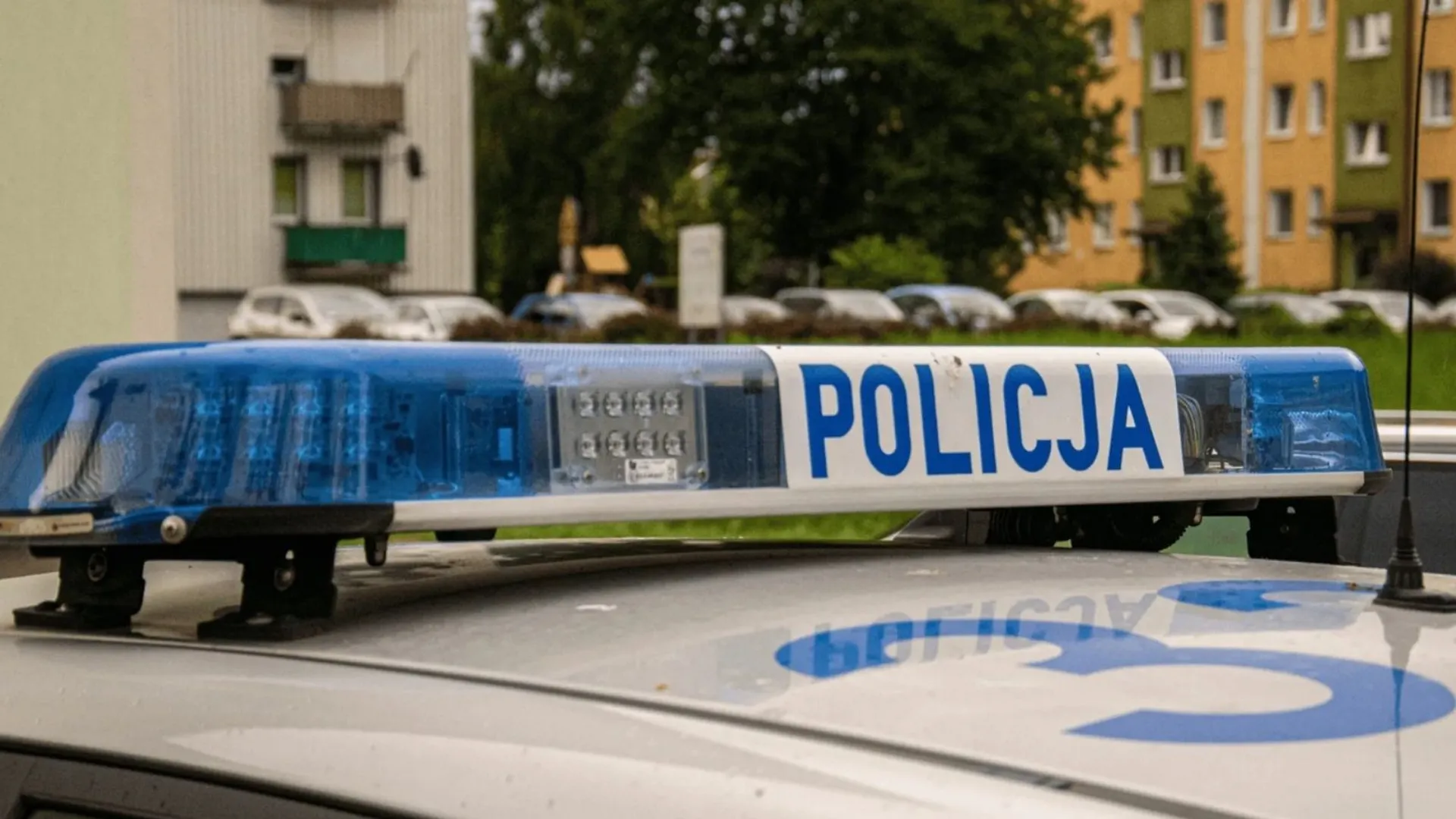Policja, żłobek, Kutno