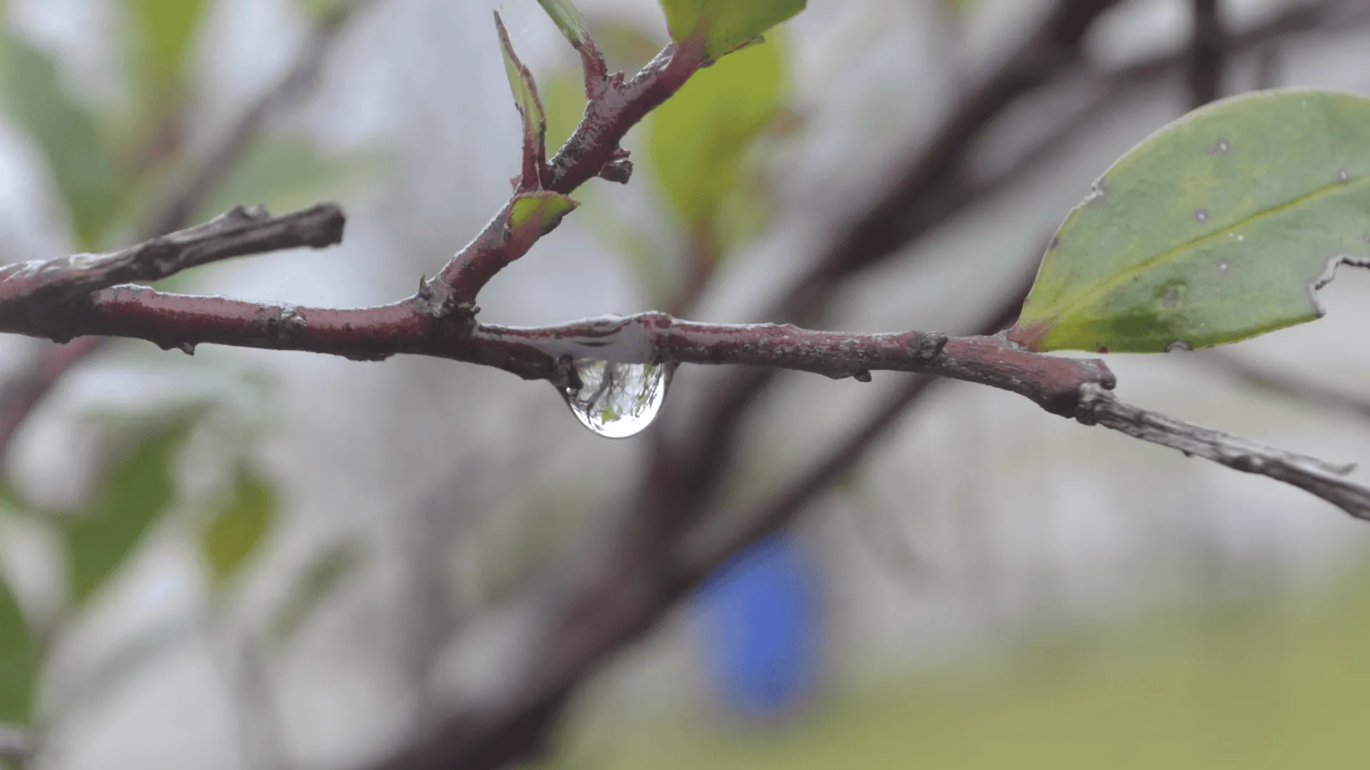 Zmiana pogody przed Wielkanocą 