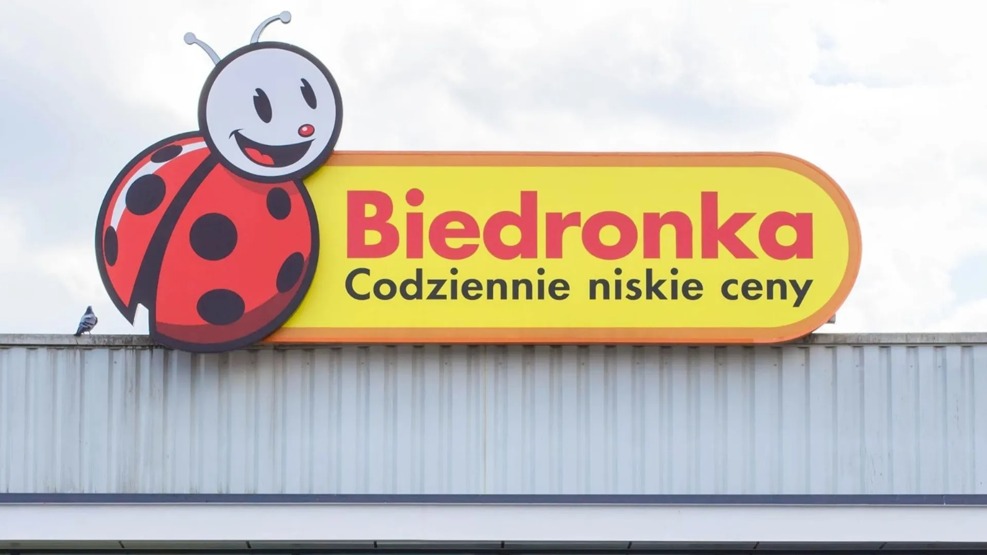 Gdzie są tanie znicze