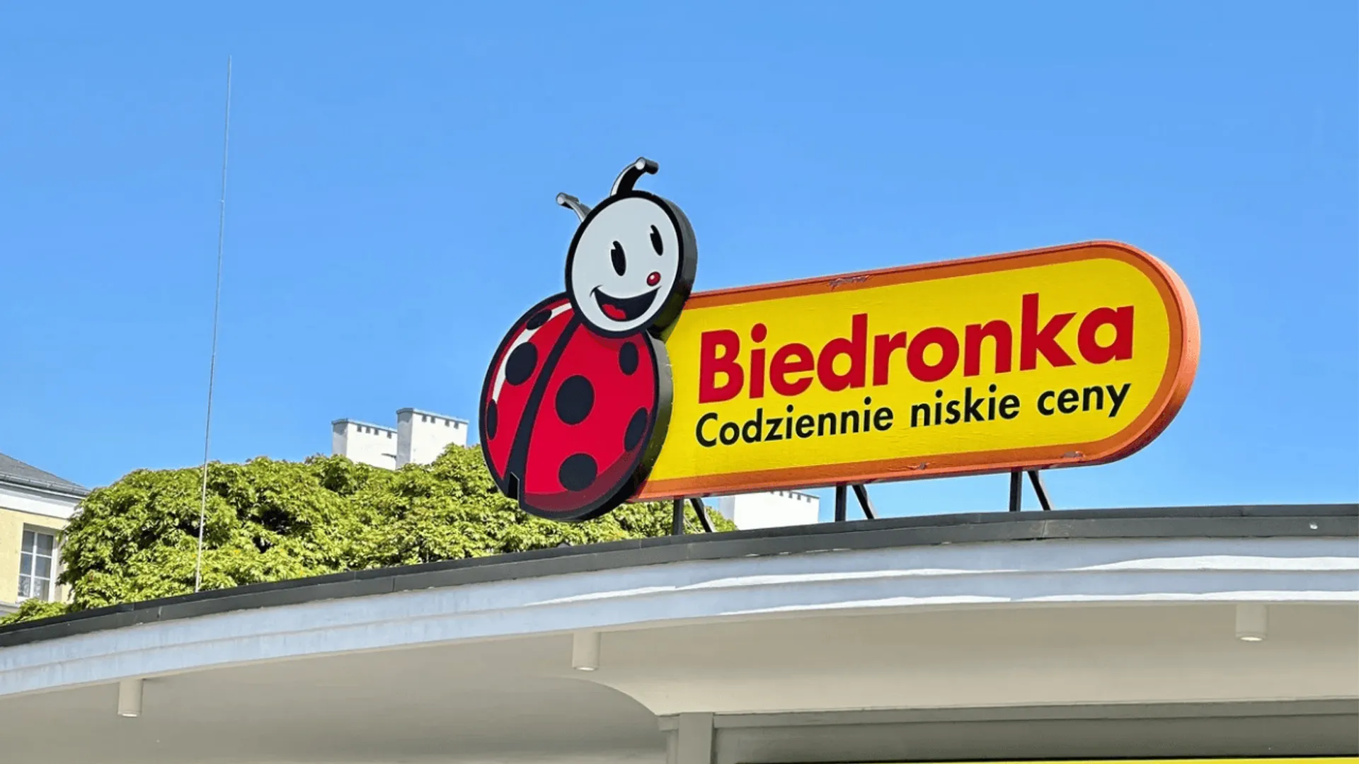 Biedronka