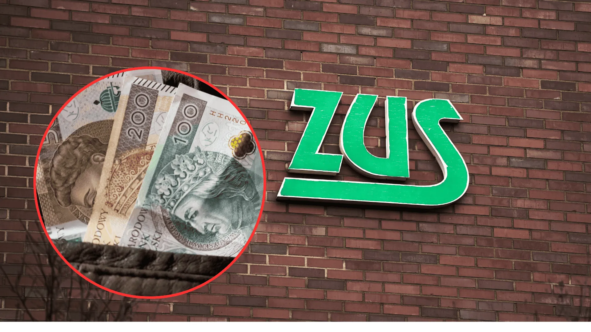 Wakacje składkowe: listopad jako ostatni termin, zakres zwolnienia i wniosek RWS przez PUE ZUS