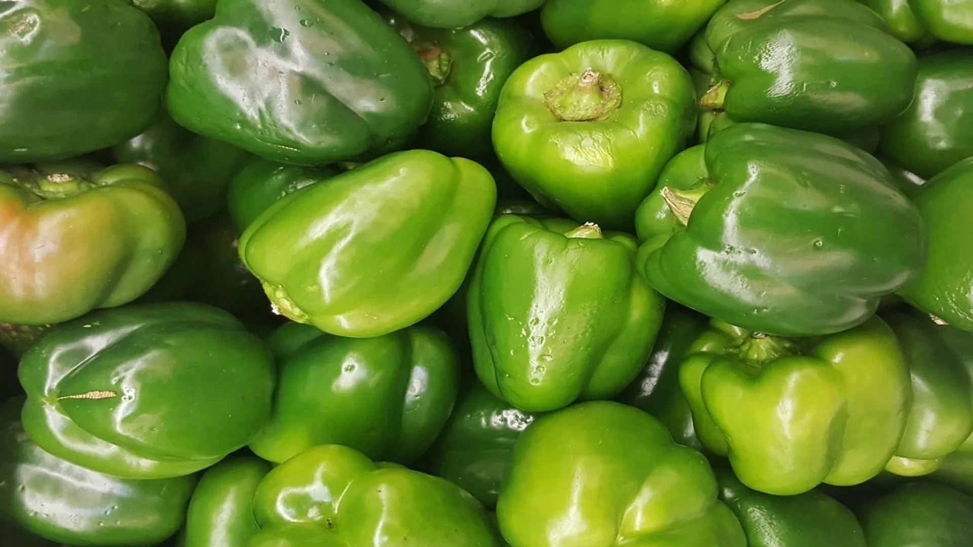 zielone papryki
