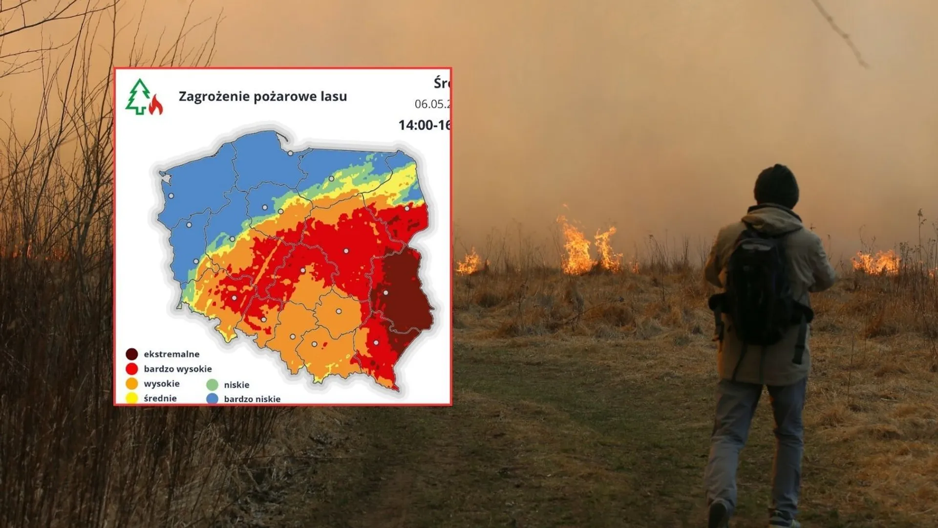 Pożar lasu