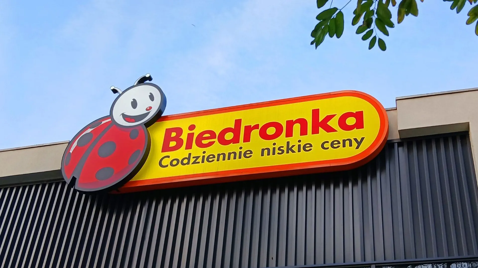 Biedronka