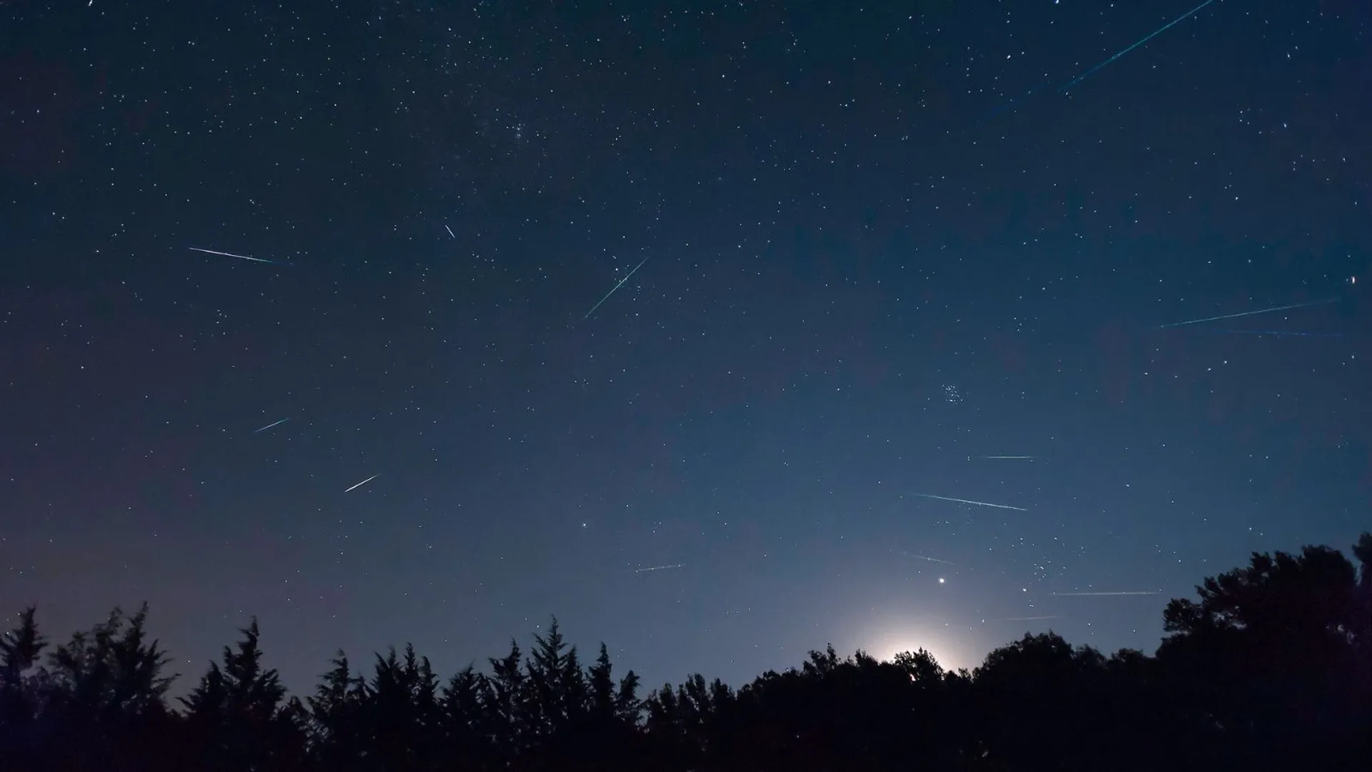 Perseidy, Noc Perseidów, Centrum Nauki Kopernik