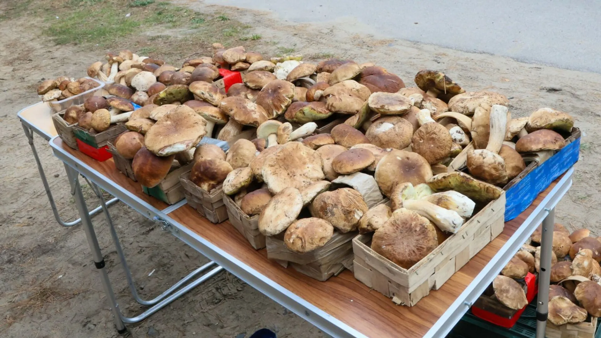 Grzyby, sprzedaż