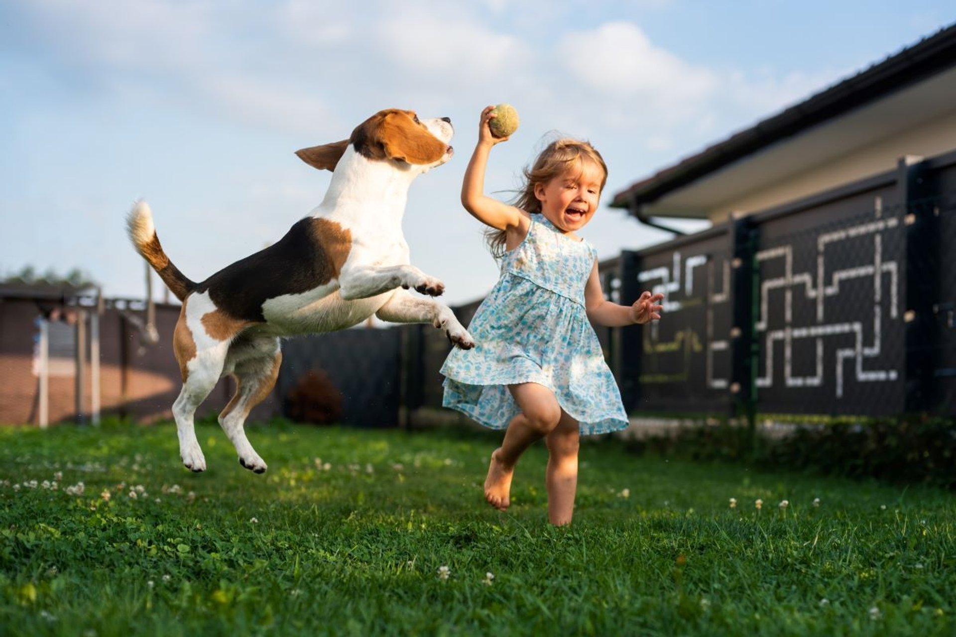 Dziewczynka z psem bawi się w ogrodzie