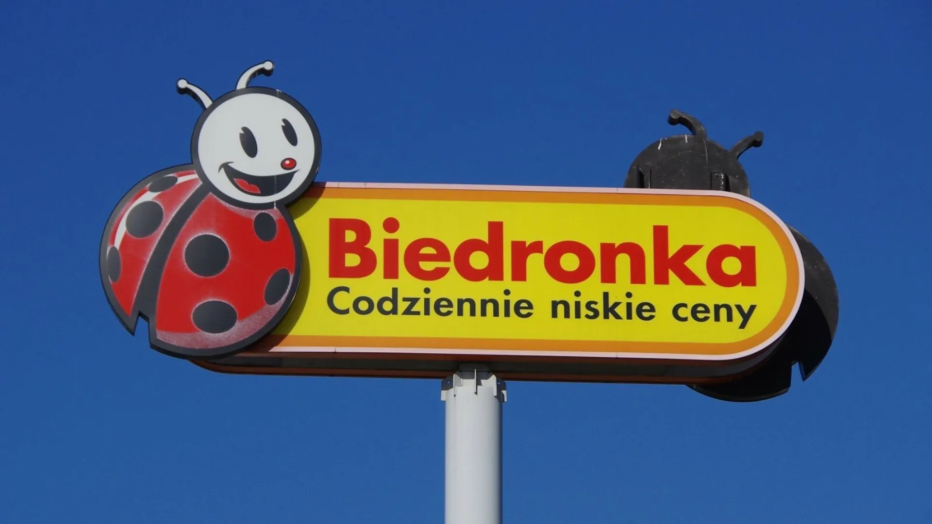 logotyp Biedronki 