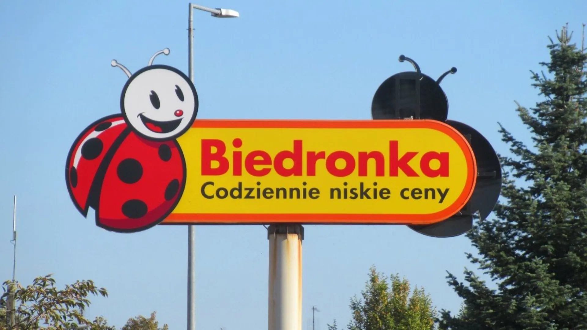 Biedronka