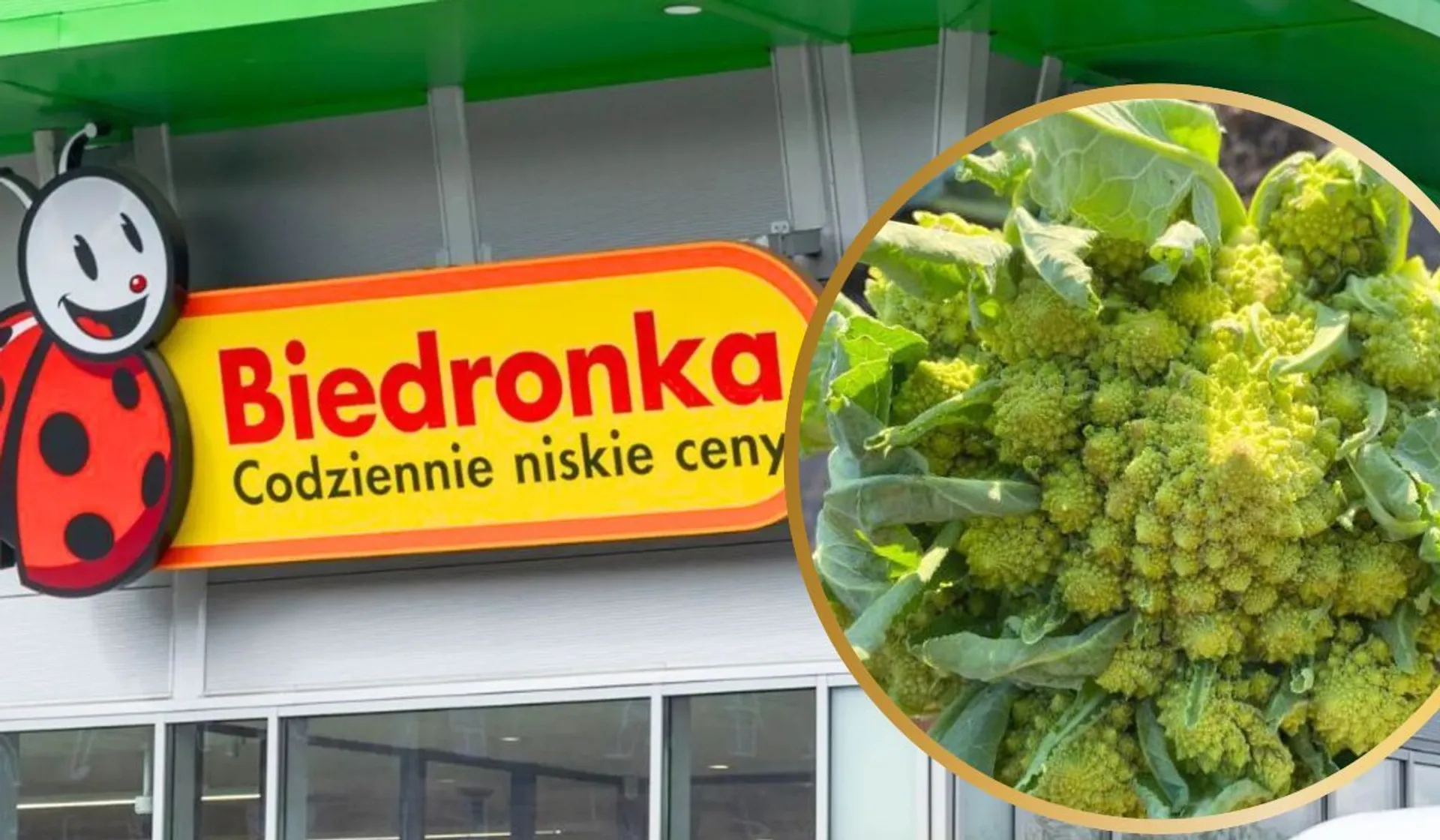 zielony kalafior w Biedronce