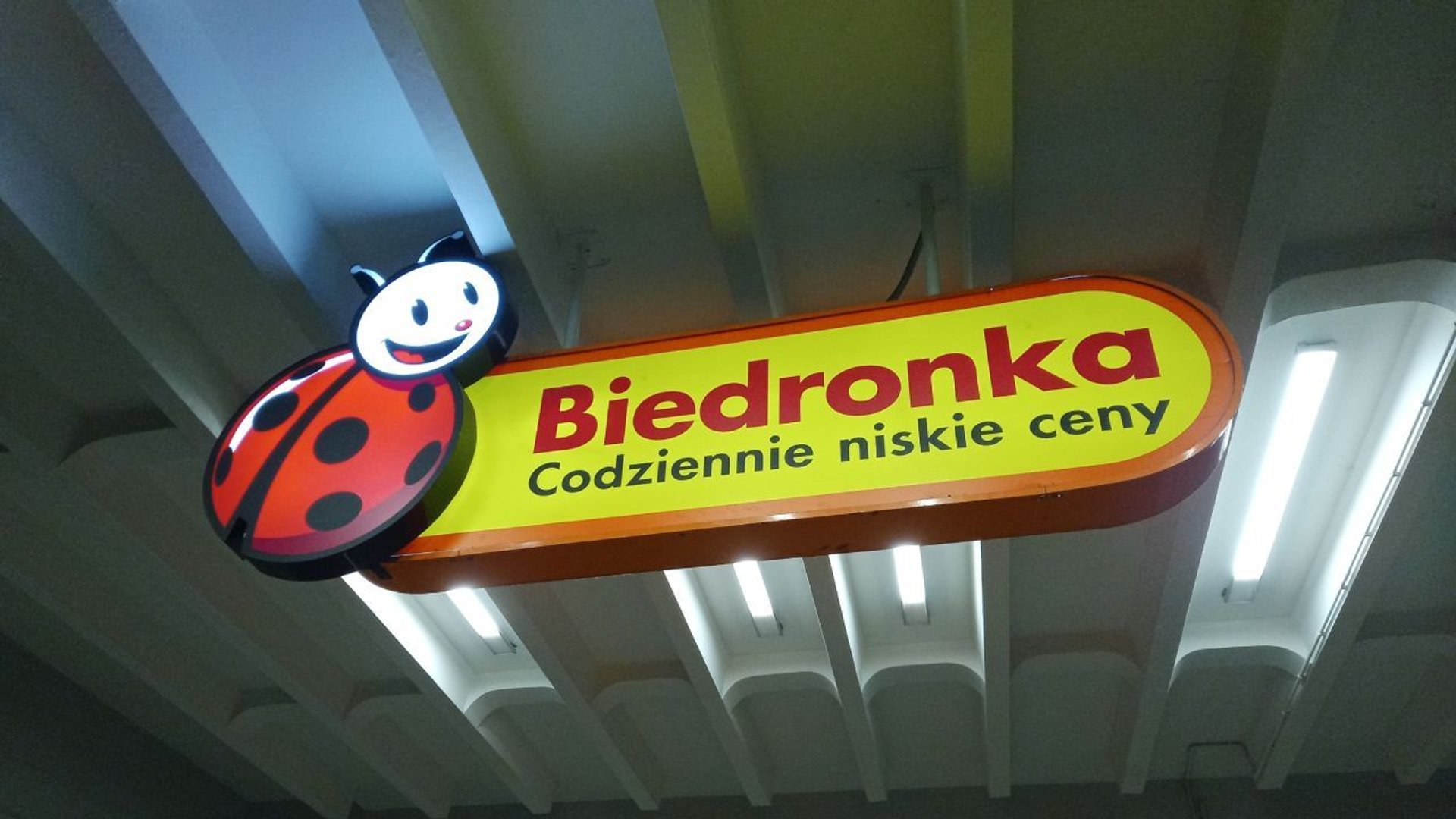 biedronka