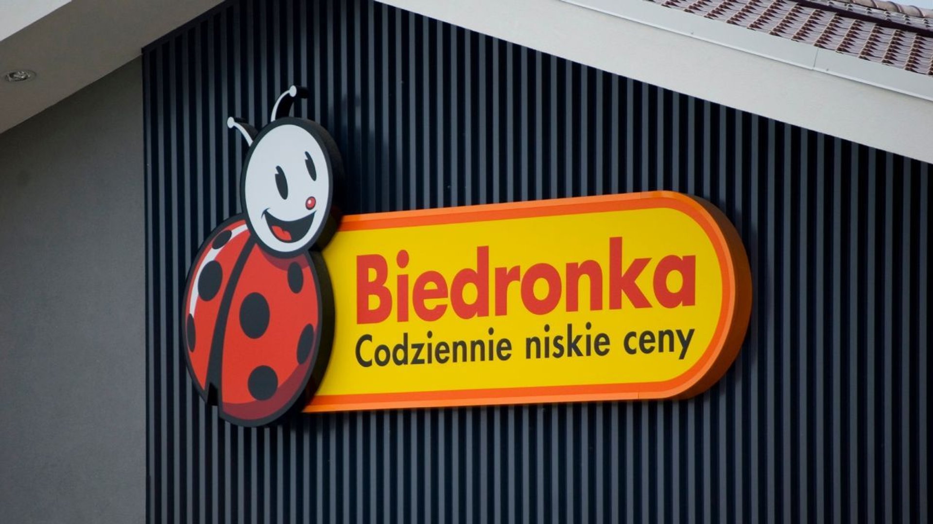 biedronka