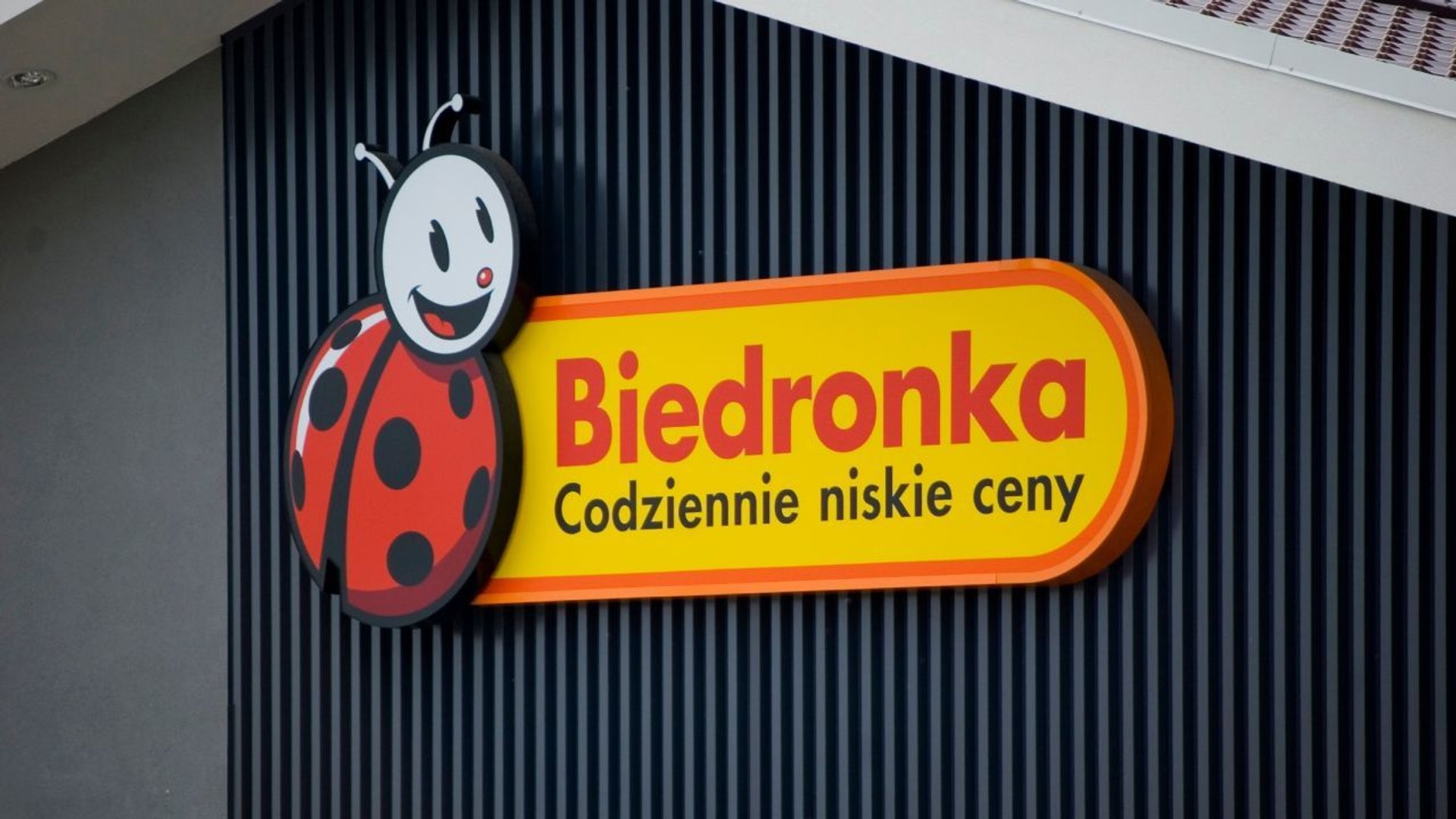 biedronka