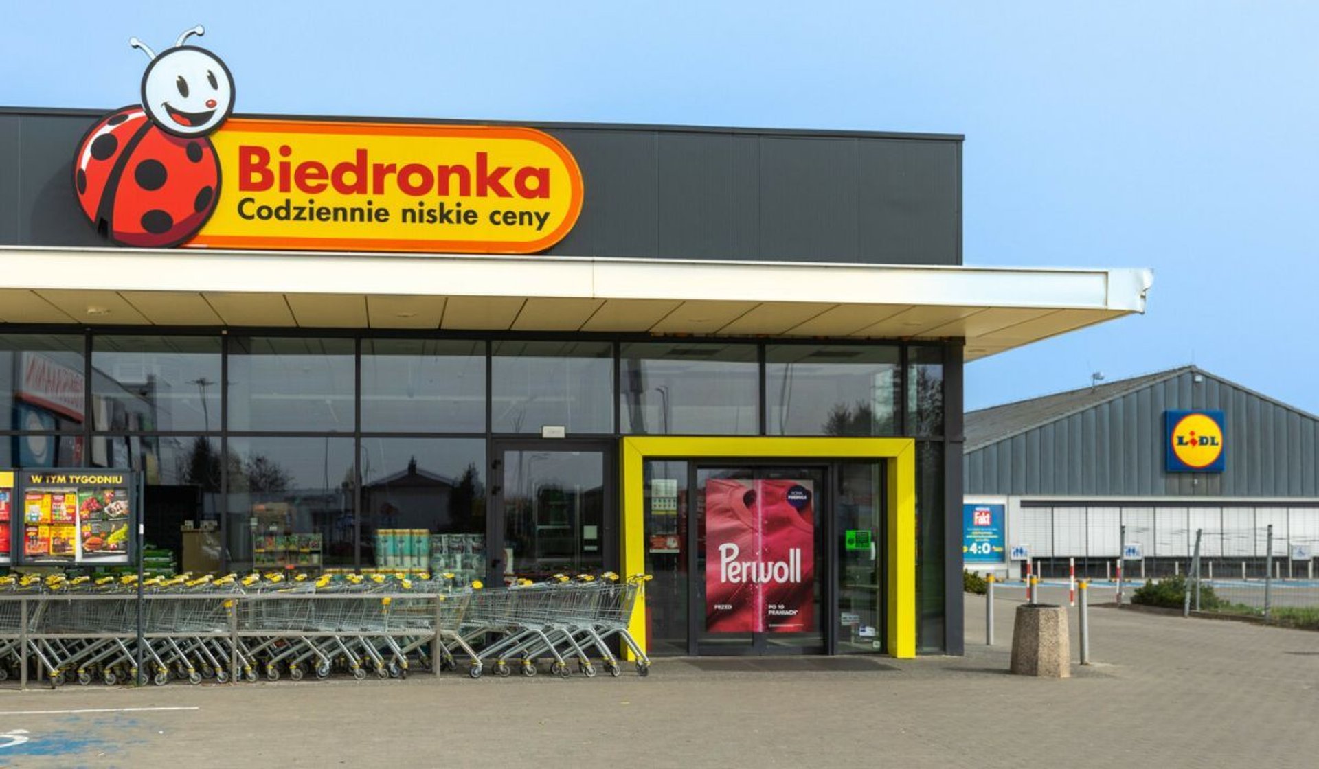 Biedronka i Lidl