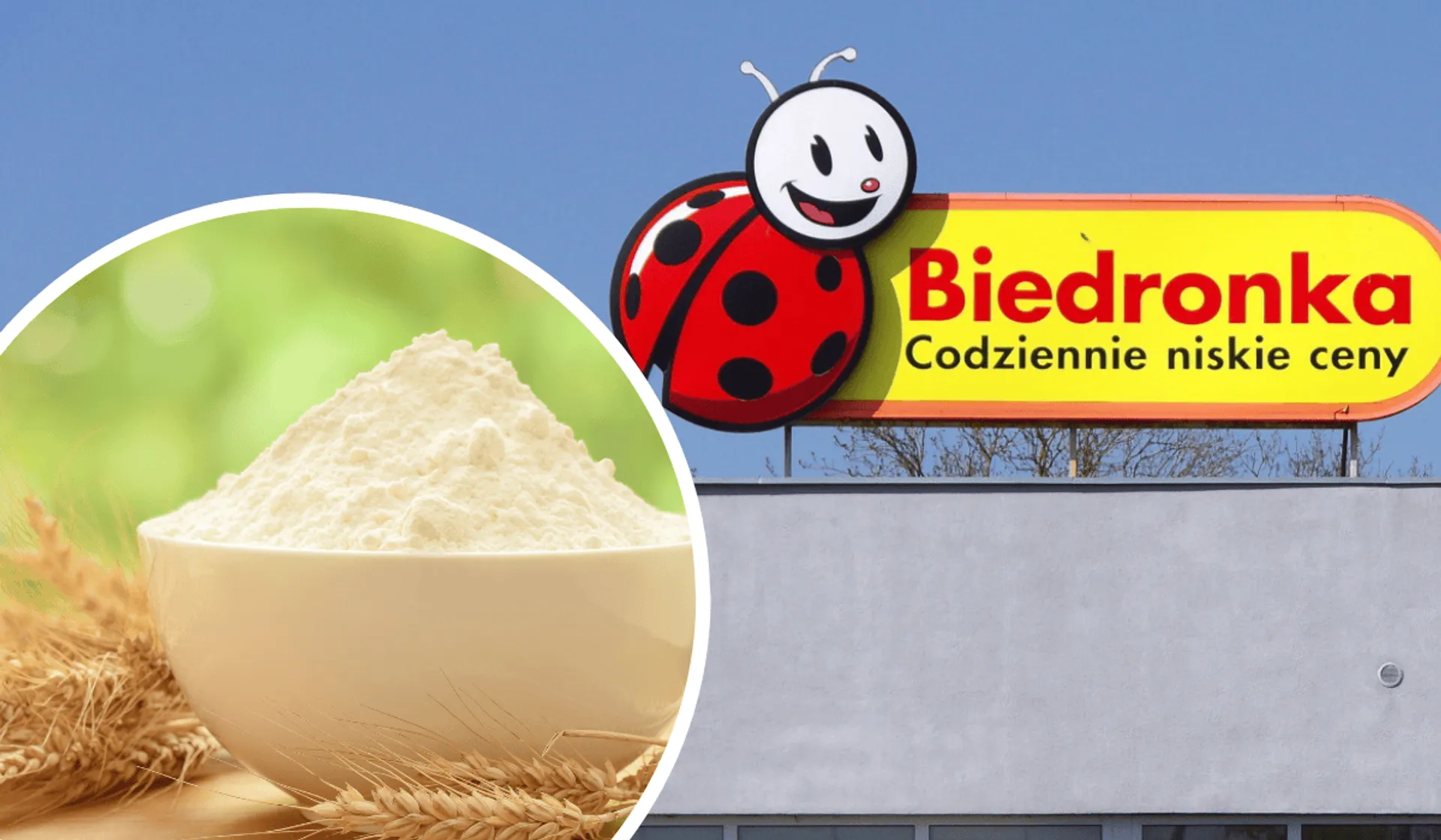Biedronka mąka