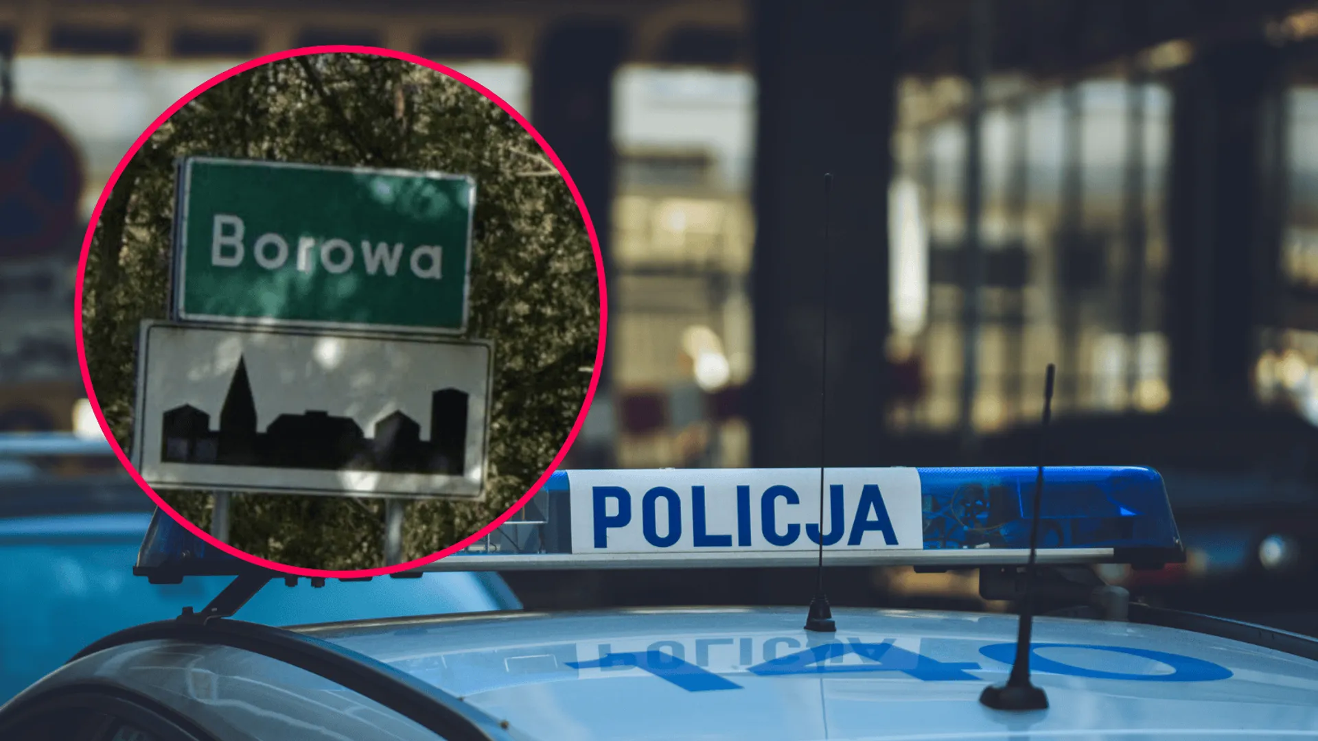 Borowa, policja