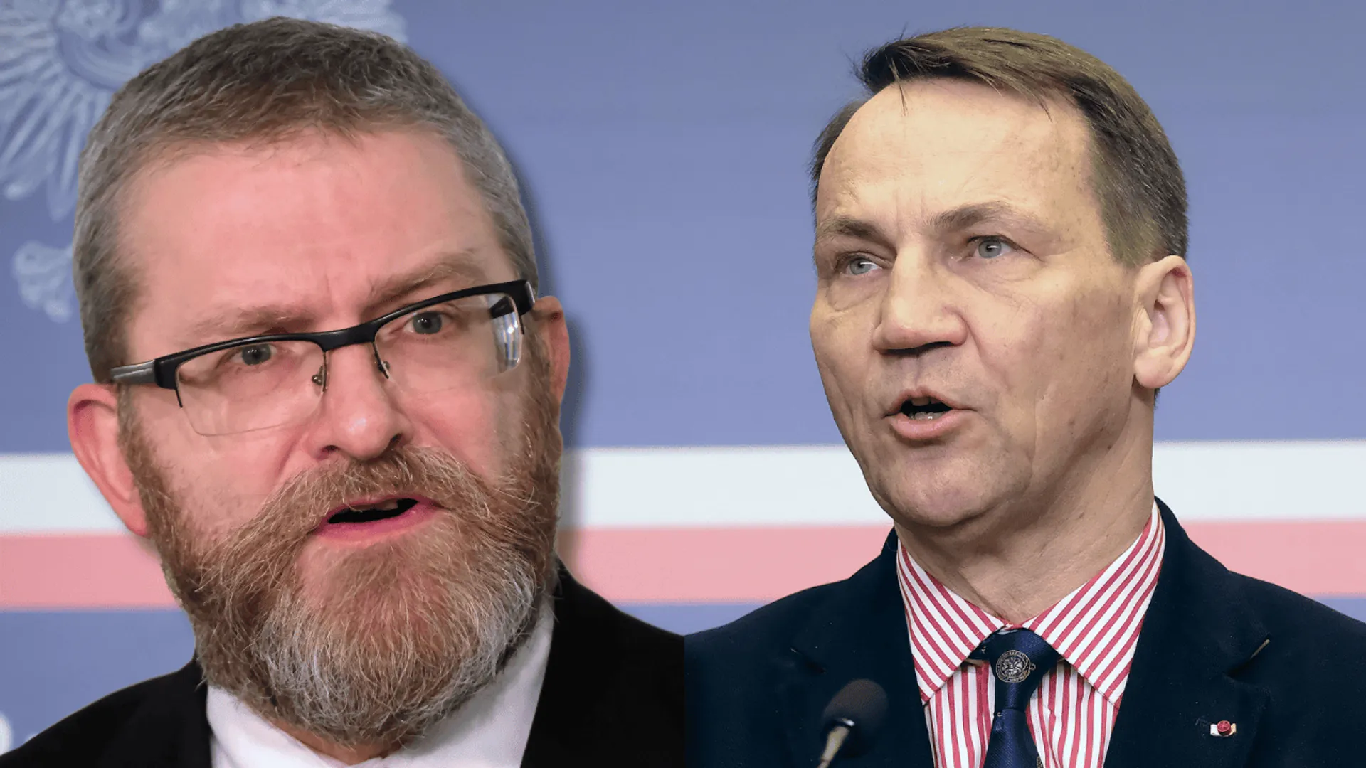 Grzegorz Braun, Radosław Sikorski