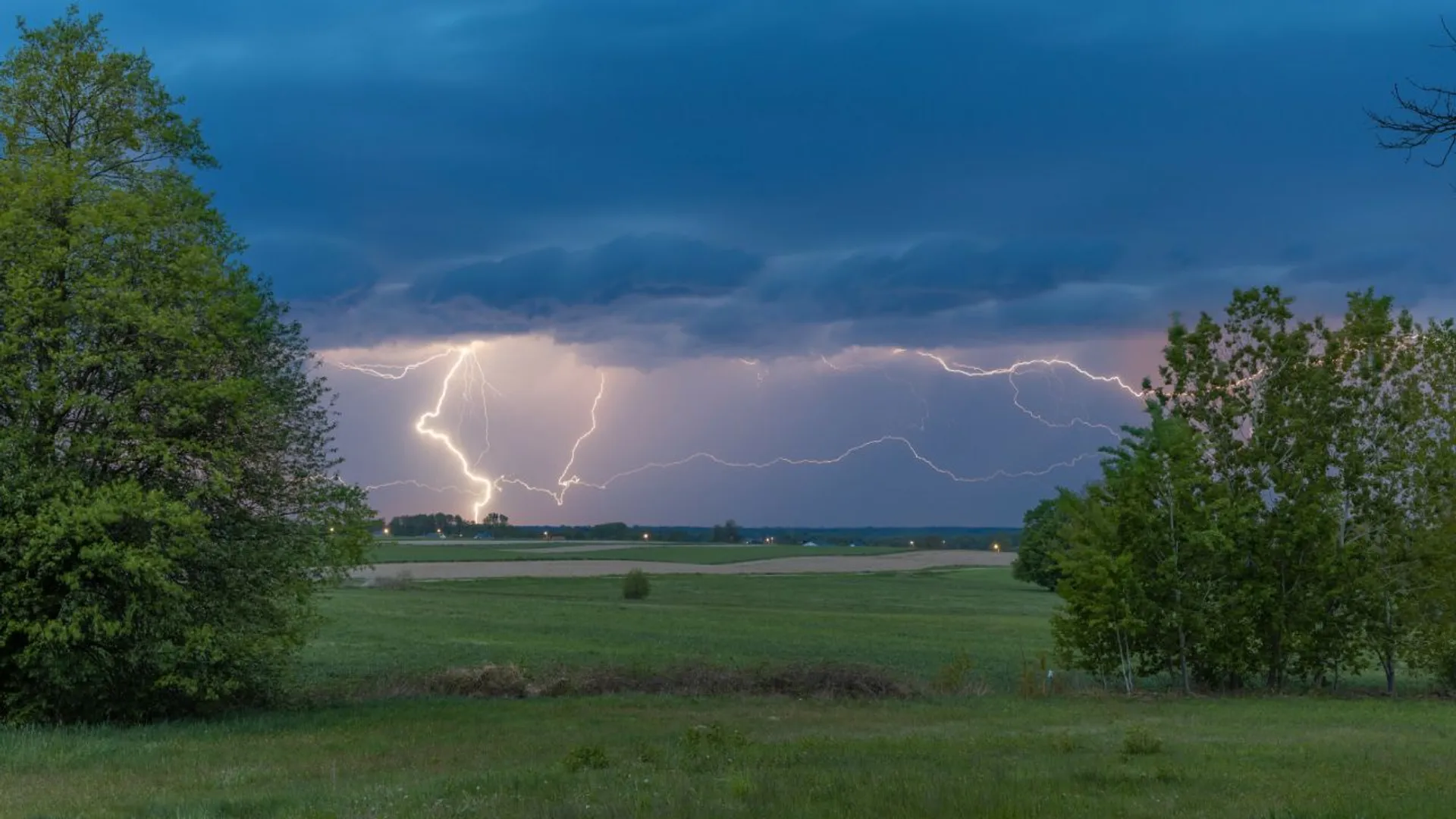 burza