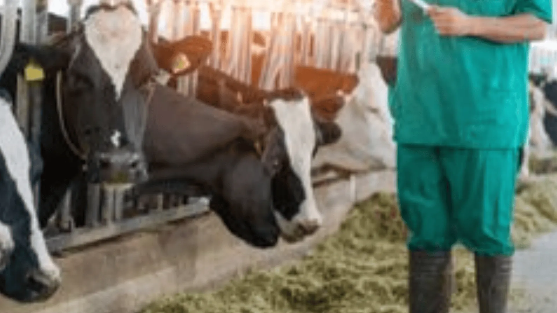 Groźny wirus na Opolszczyźnie. To już czwarte ognisko w tym roku