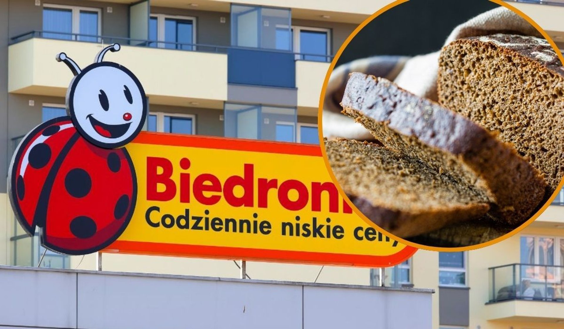 chleb i biedronka