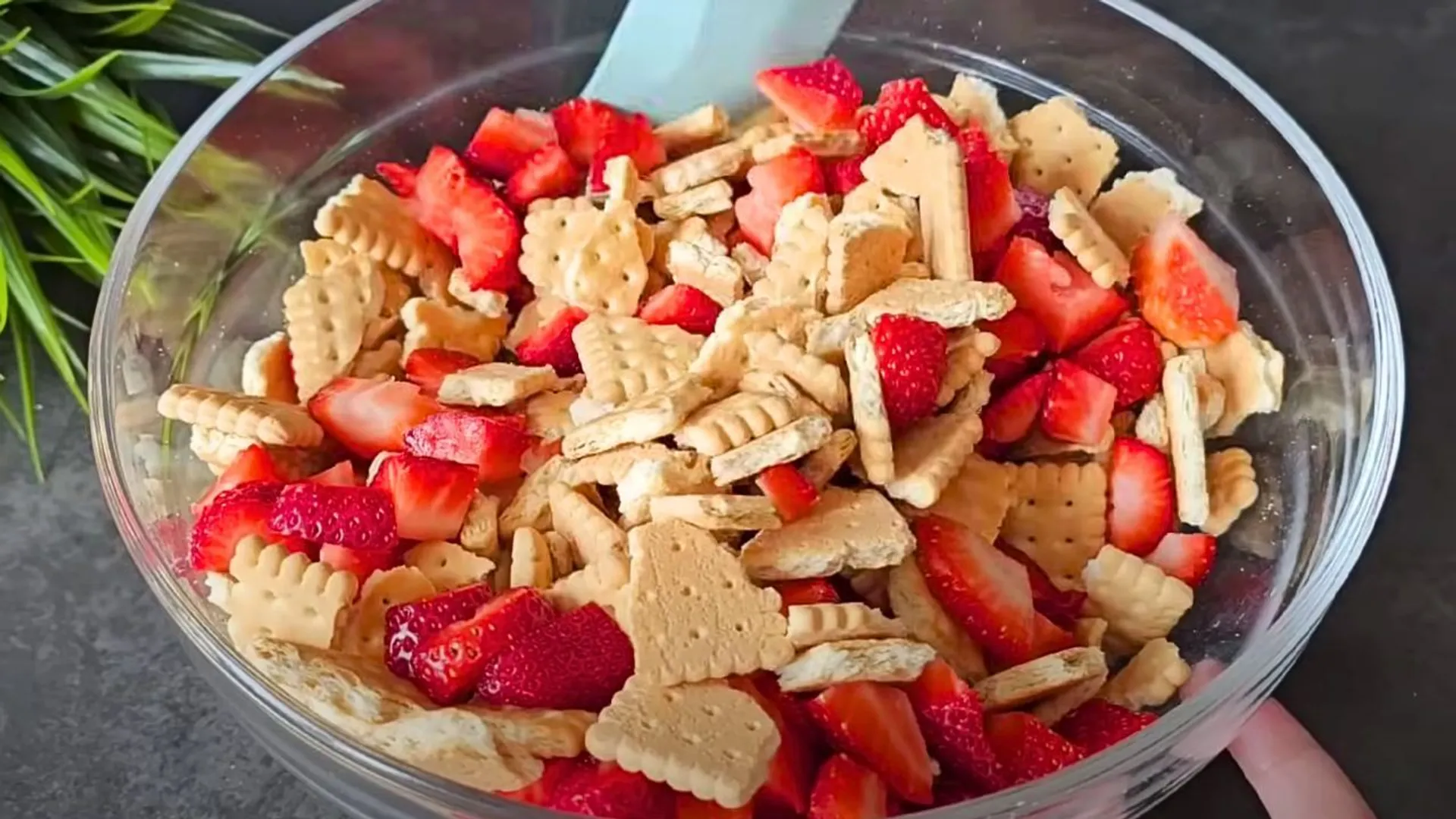 herbatniki i truskawki