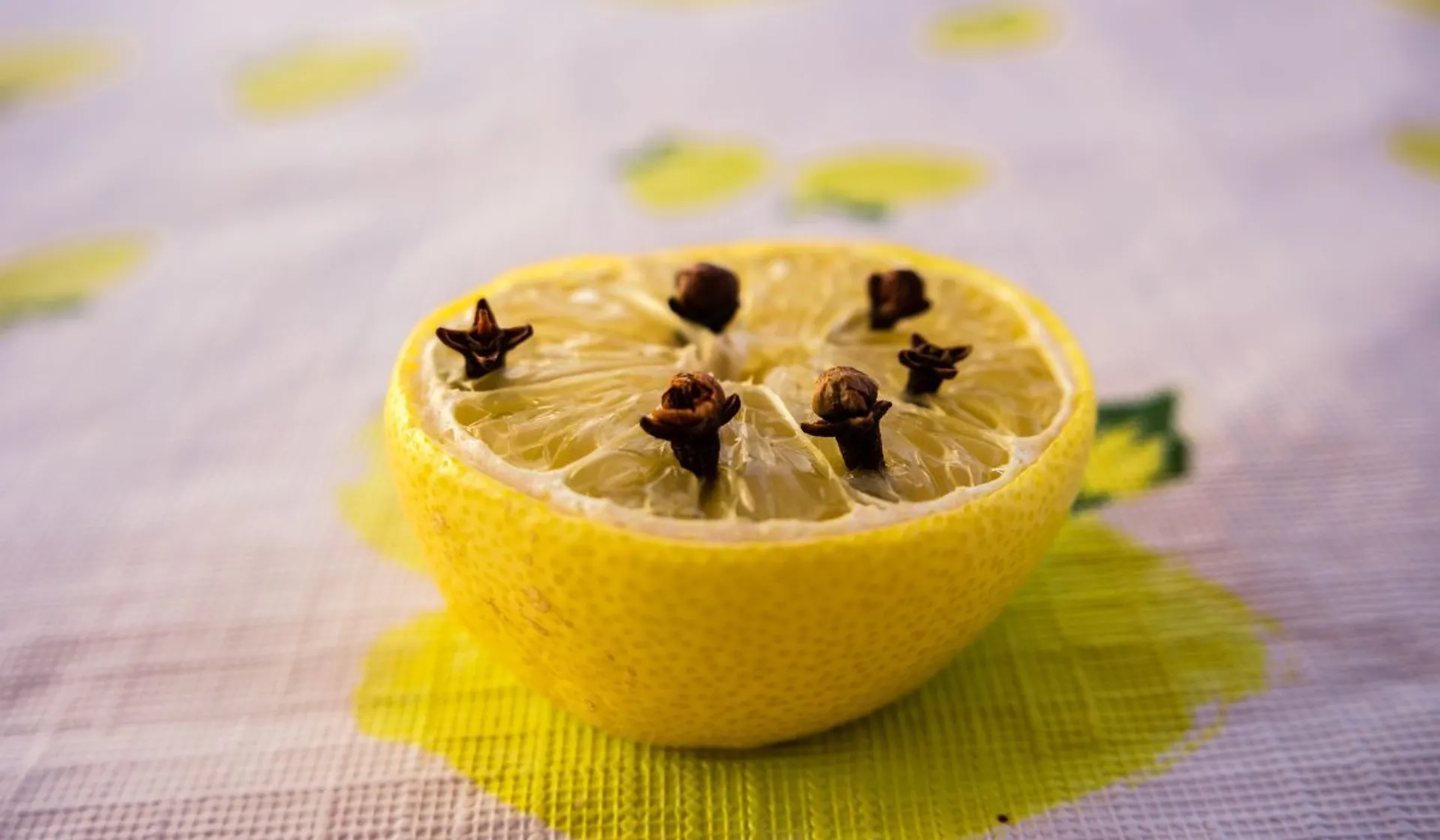 cytryna z wbitymi goździkami 