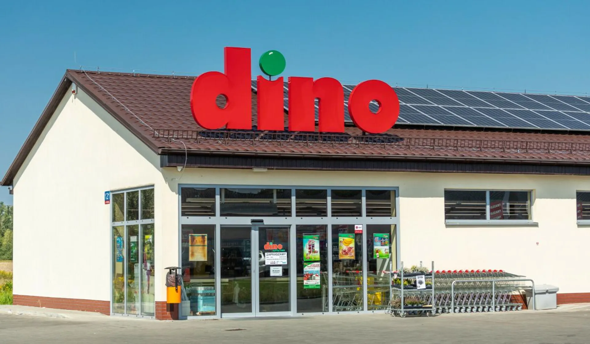 Dino
