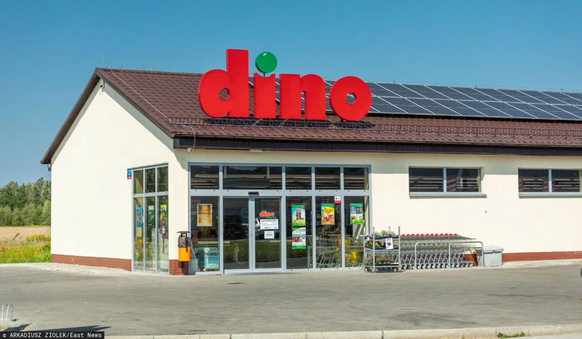 Dino