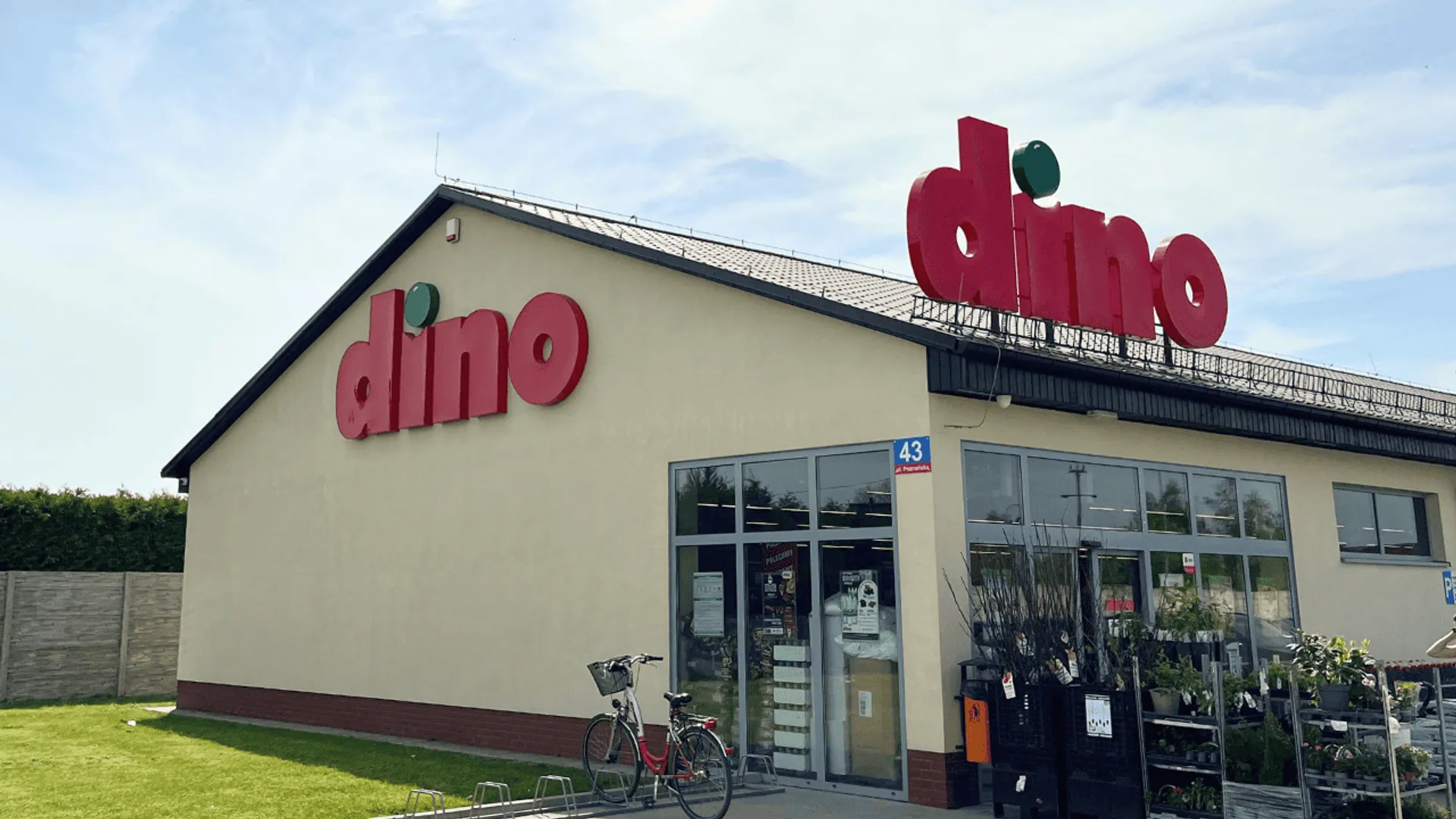 Dino