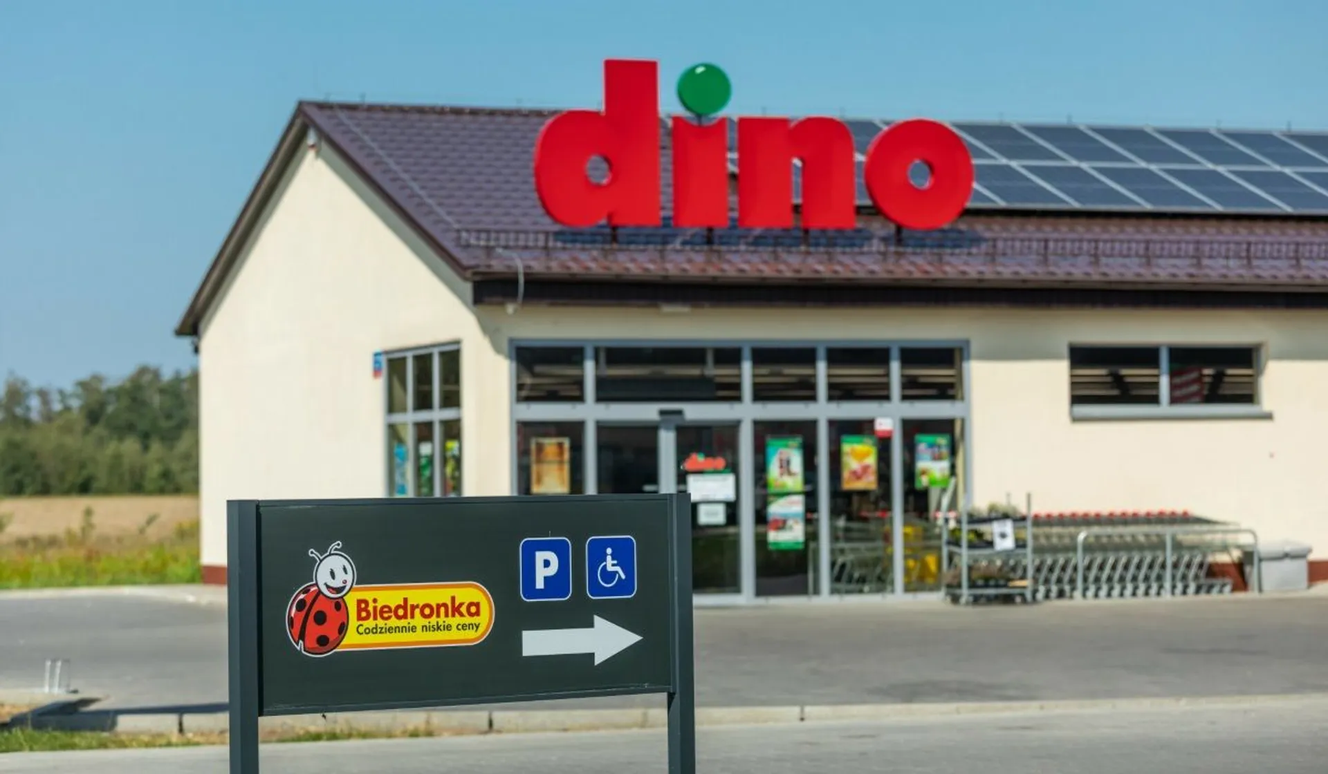 Dino