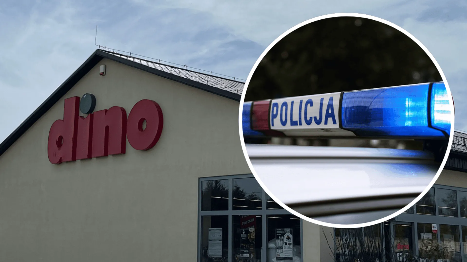 Dino, Policja