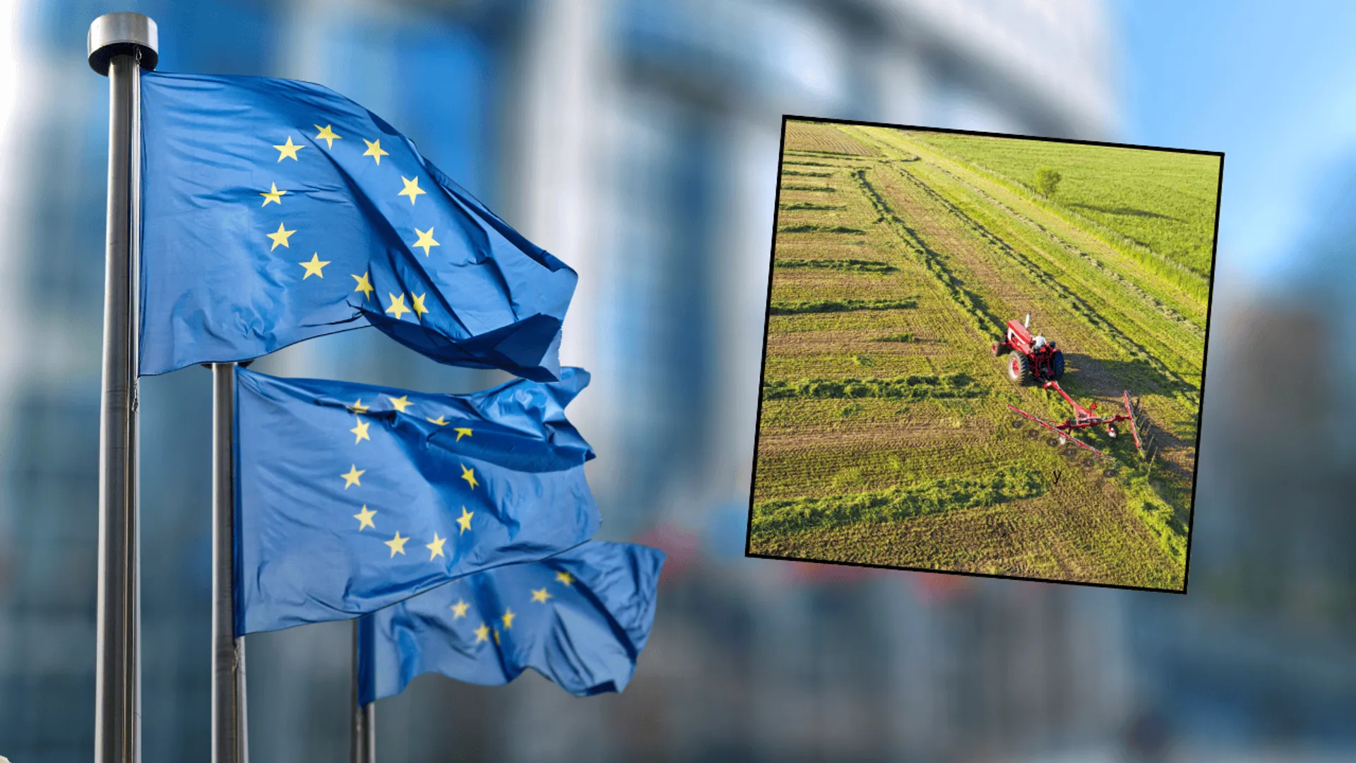 dotacje z UE filarem stabilności polskiego rolnictwa